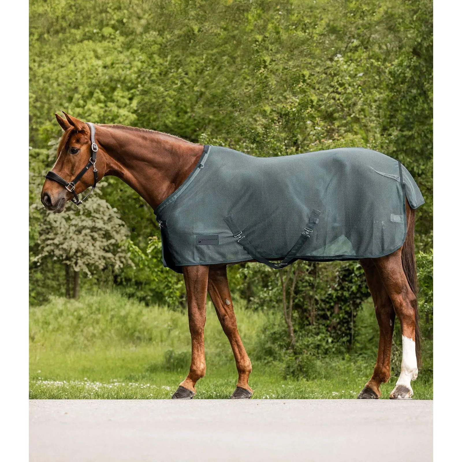Copertura anti-insetti con cinghie incrociate per cavallo Waldhausen Comfort