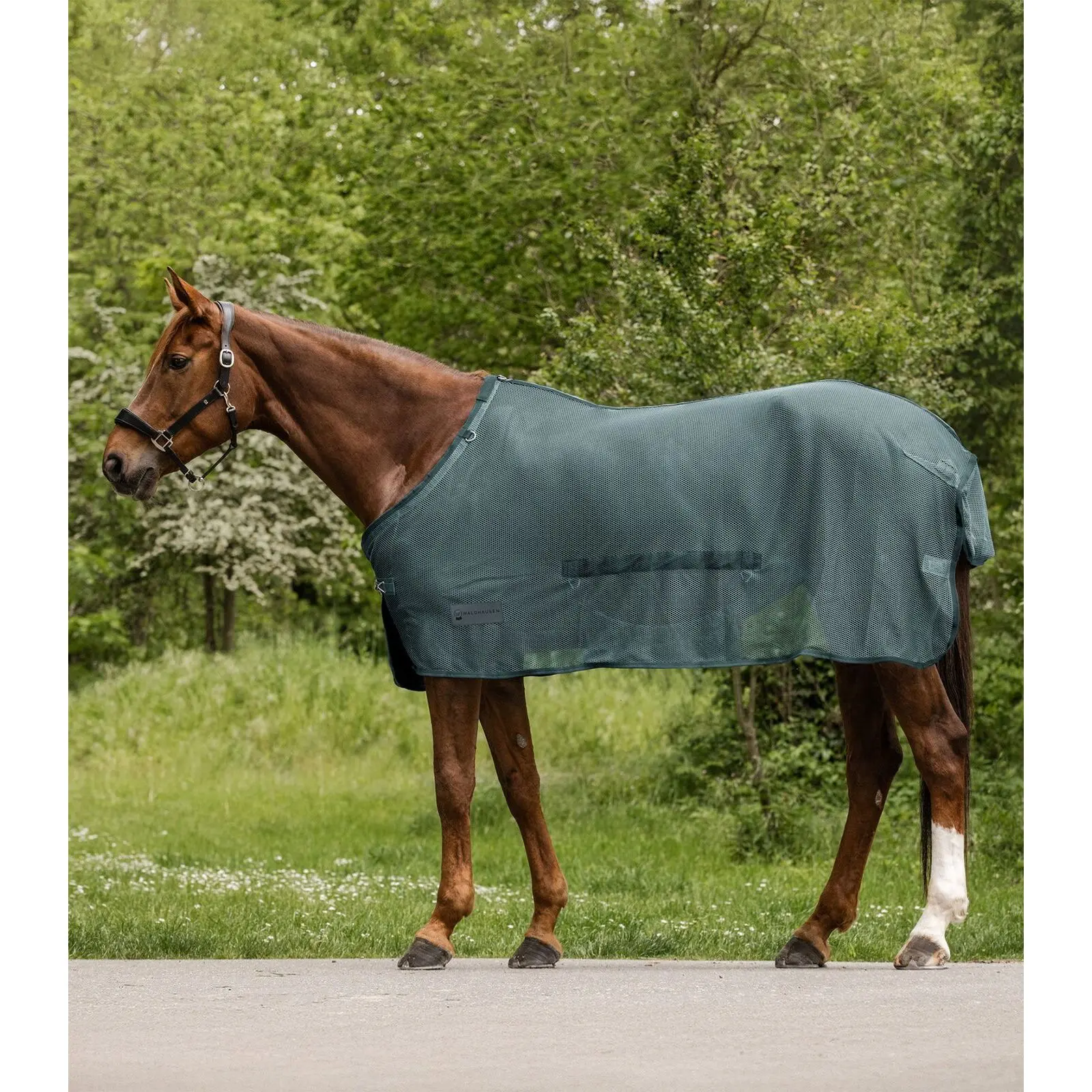 Copertura anti-zanzare con bavetta centrale per cavallo Waldhausen Comfort