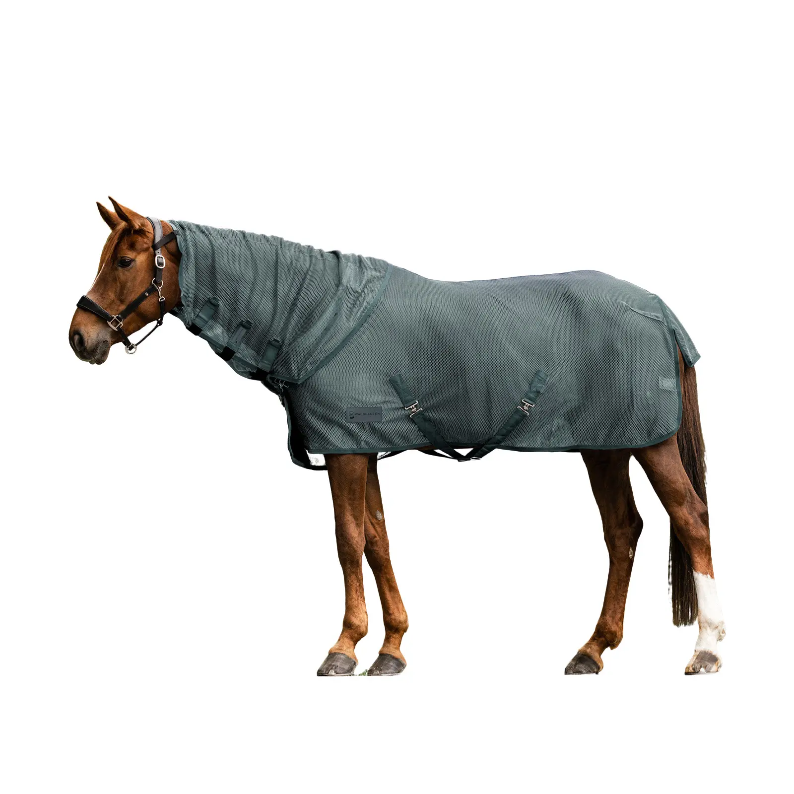 Coperta per cavalli Waldhausen Comfort