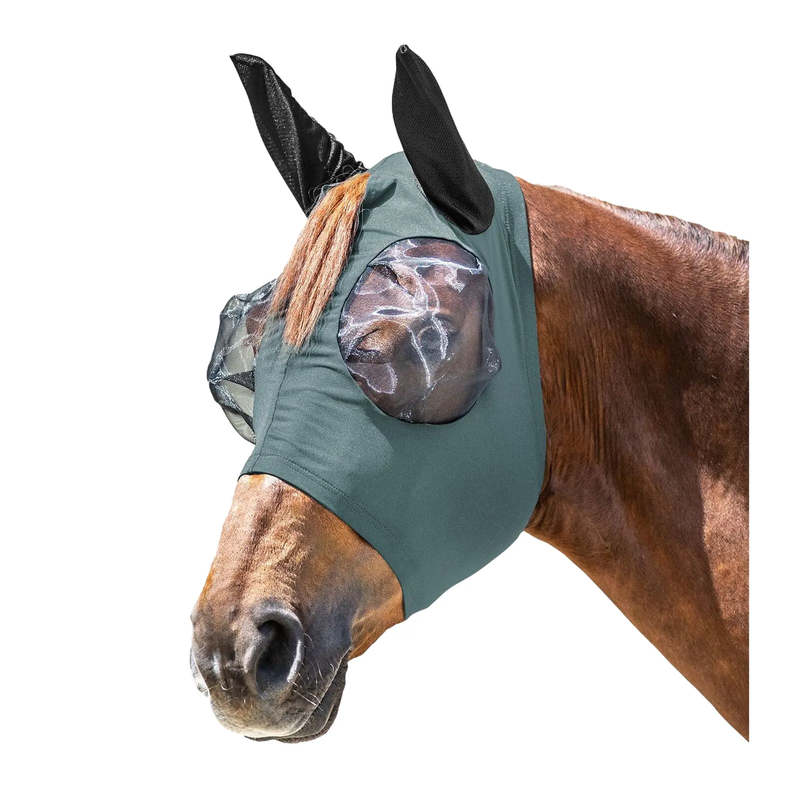 Maschera antimosche Waldhausen Puck