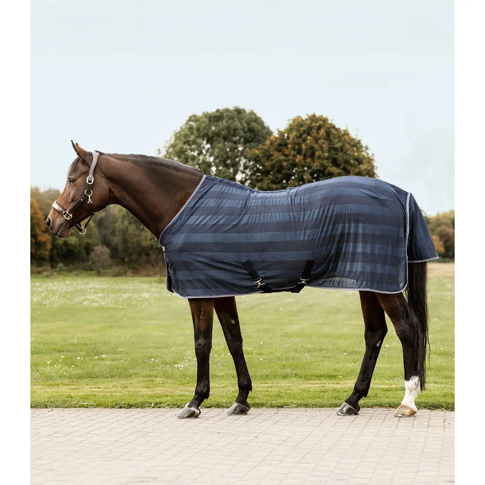 Fly Blanket Waldhausen Economic