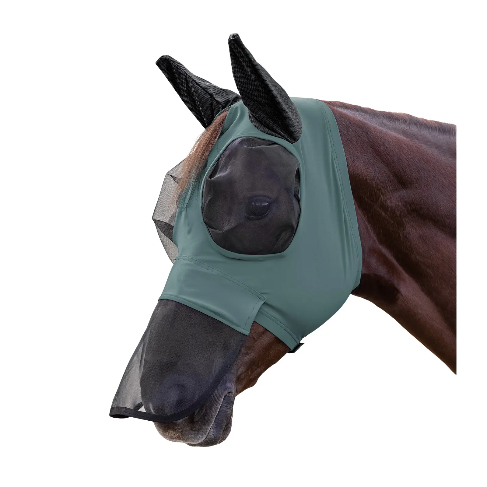 Maschera anti-insetti per cavallo con protezione nasale Waldhausen Puck