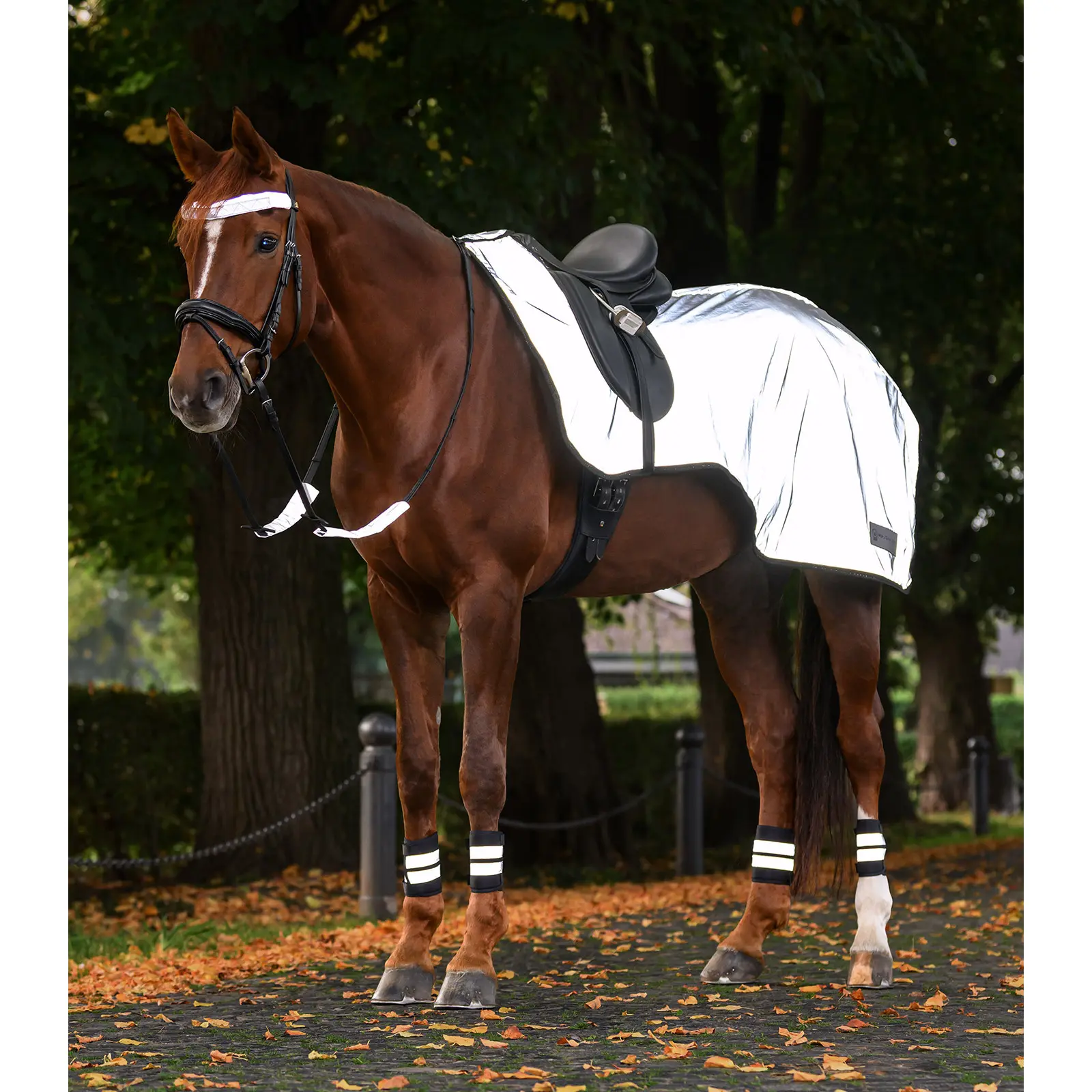 Coprireni per cavalli Waldhausen Reflex