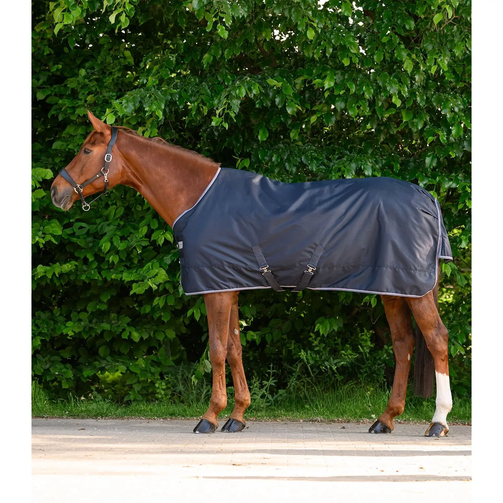 Coperta da paddock per cavalli Waldhausen Economic Light