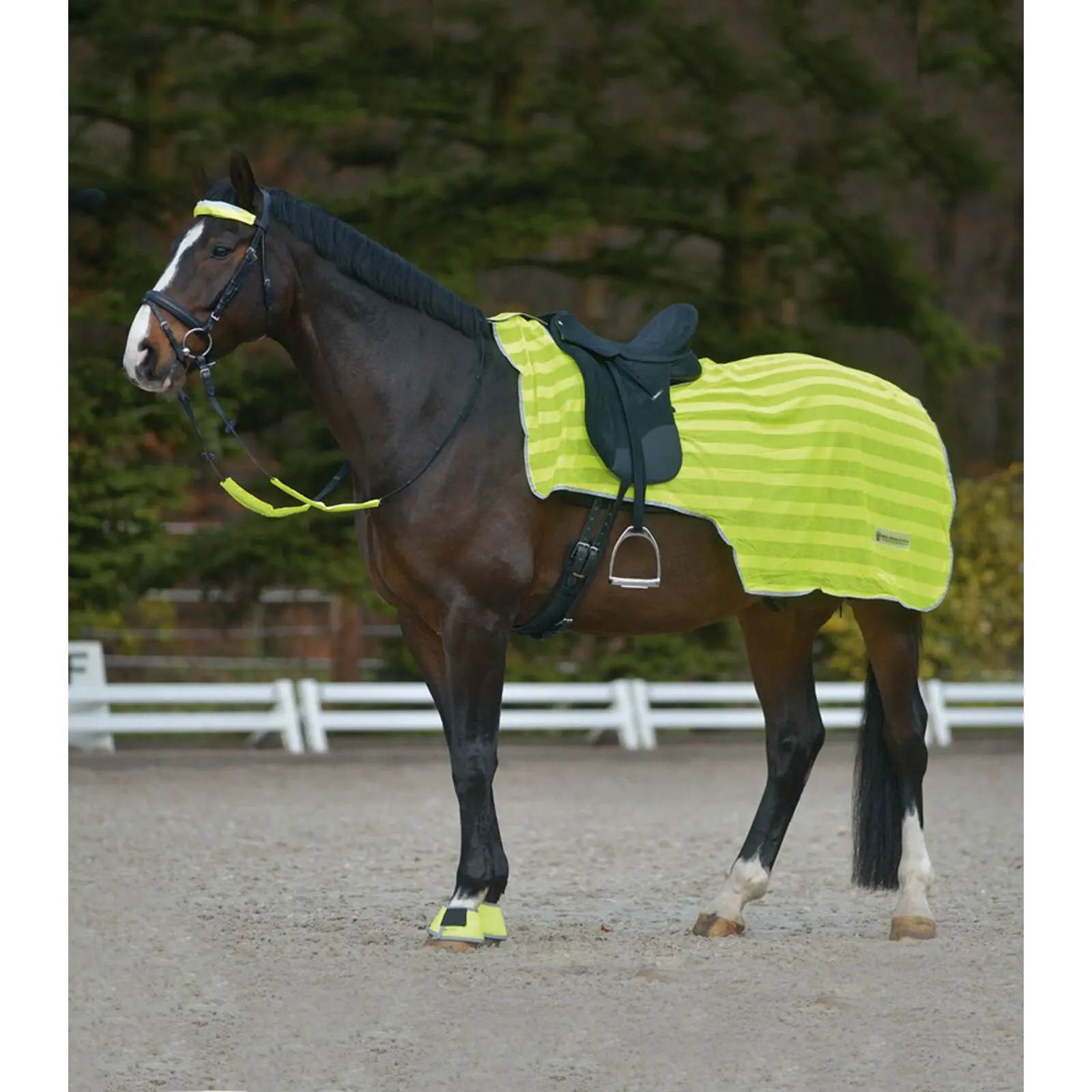 Gallop-Store UK