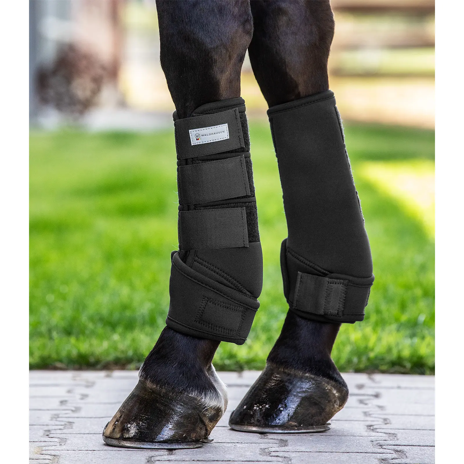 Horse boots with fetlock protection Waldhausen Protect