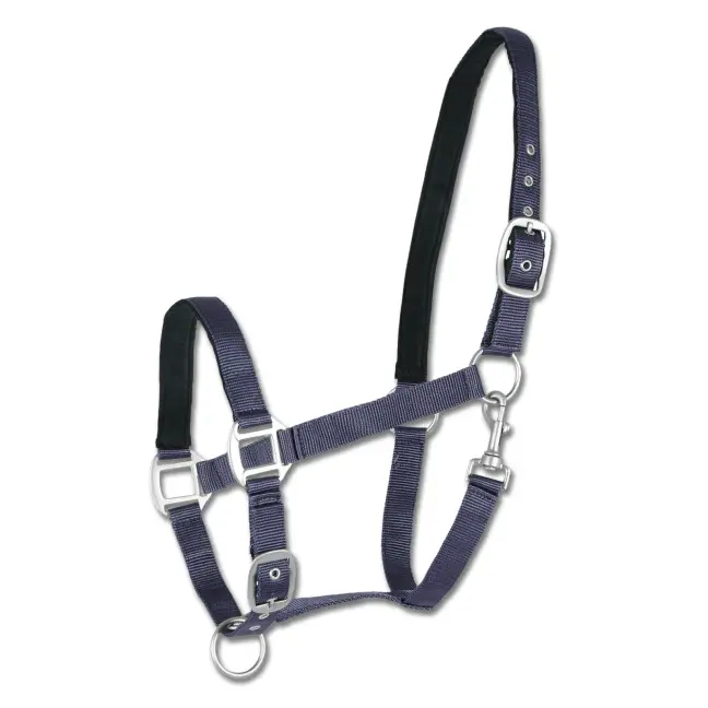 Satin horse halter Waldhausen