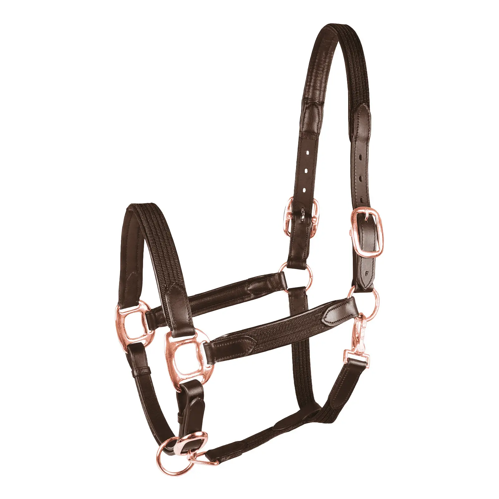 Halter for cob Star Mix