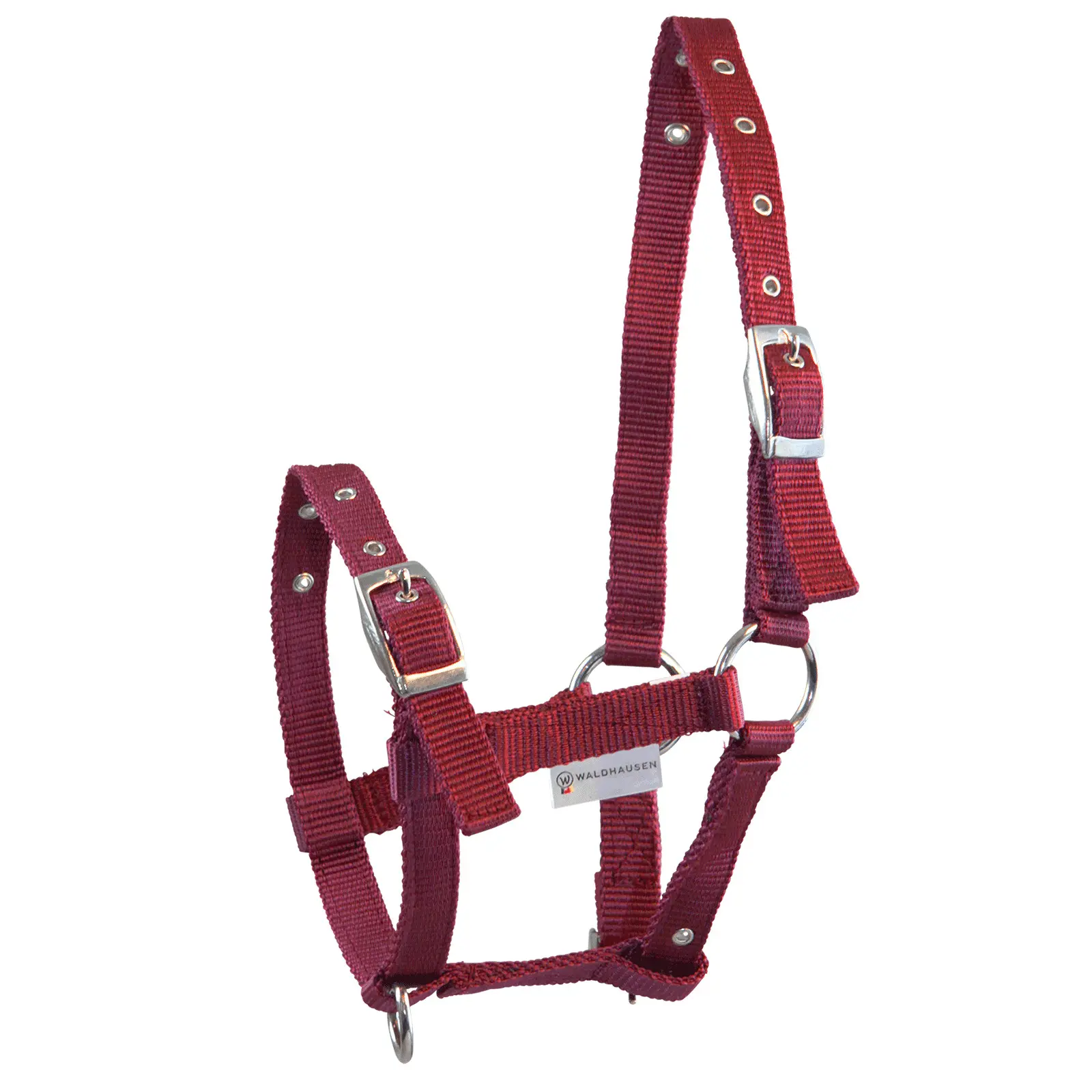 Halter for foal Waldhausen Triple