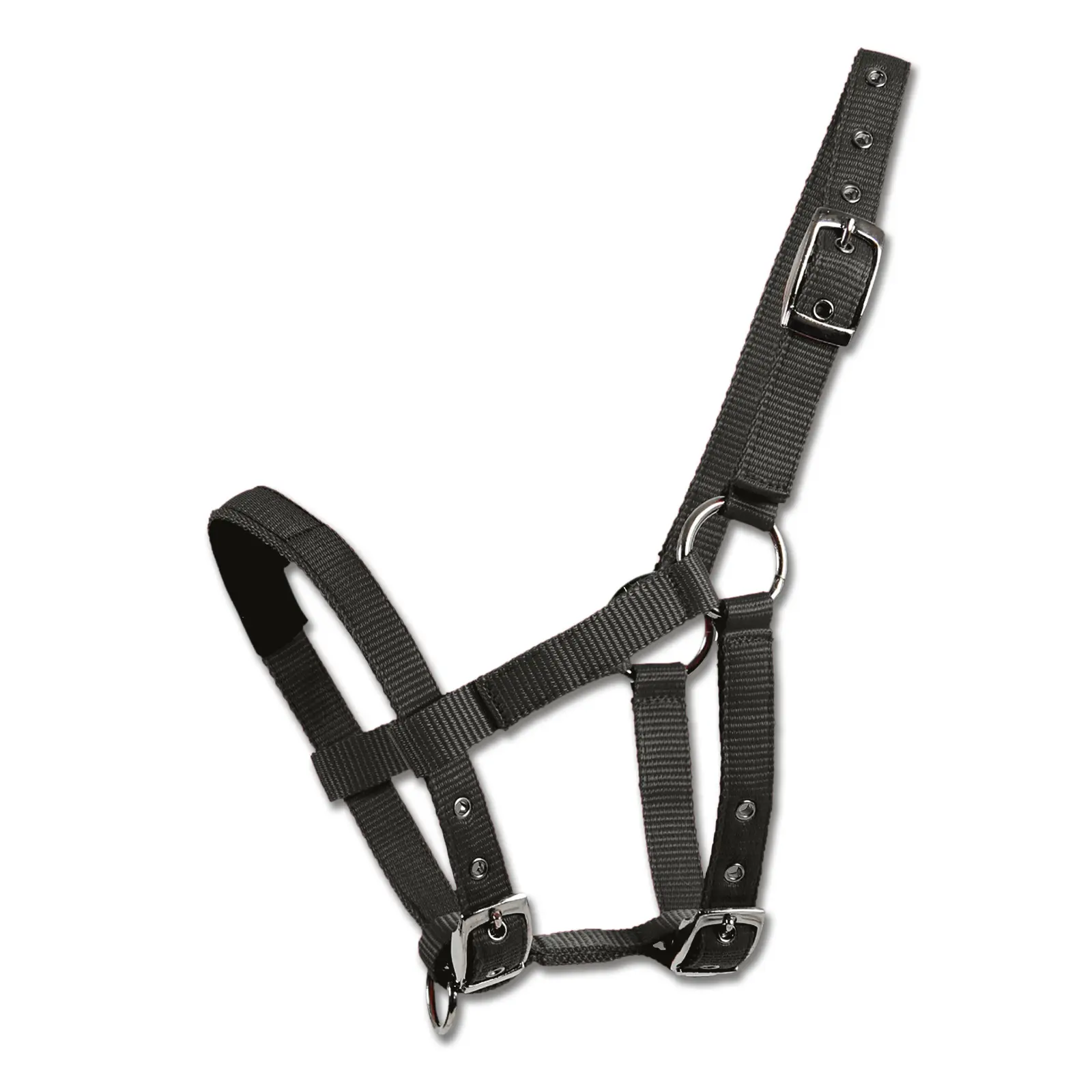 Capestro per mini-shetty Waldhausen