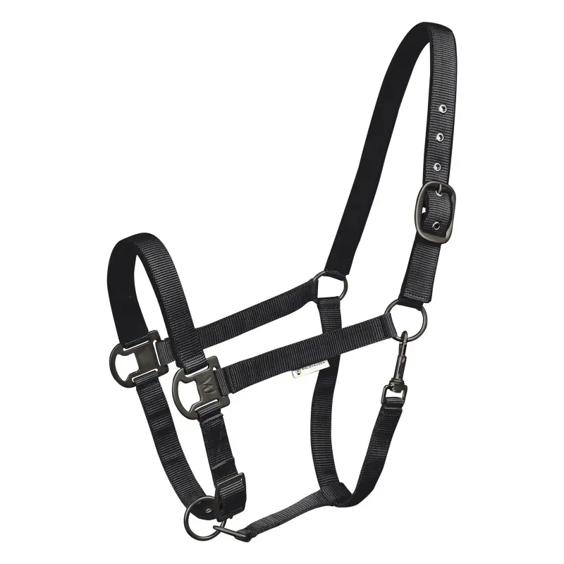 Halter for horse Waldhausen Gloomy