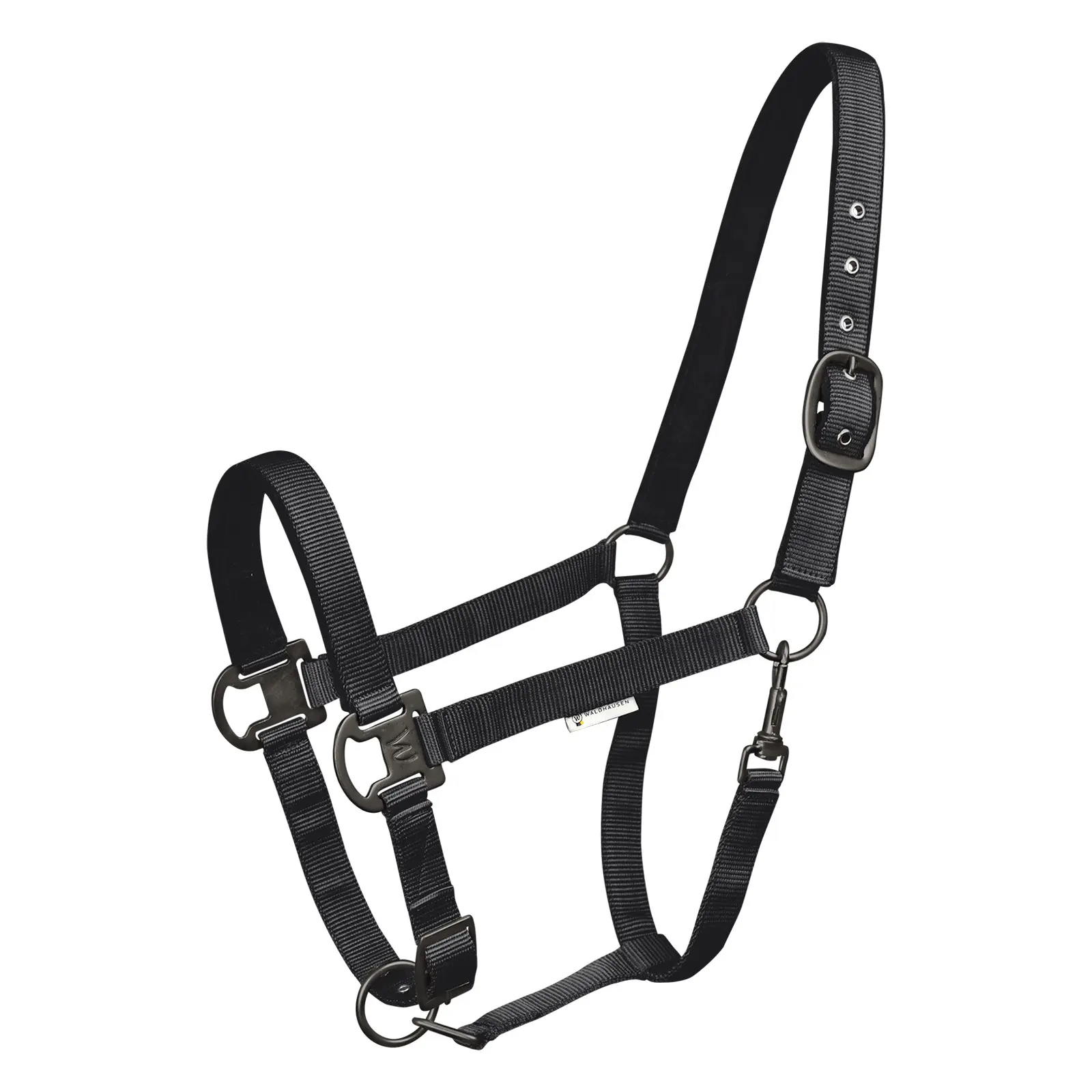 Halter for horse Waldhausen Gloomy