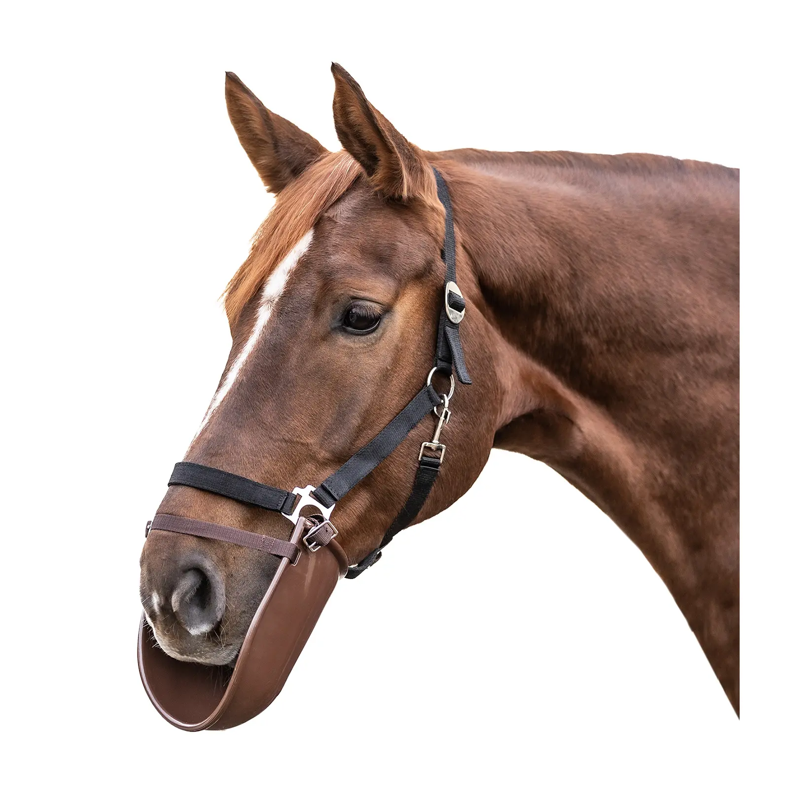 Pettorina da equitazione in plastica Waldhausen