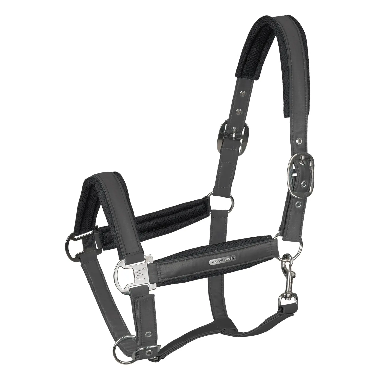 Halter for horse Waldhausen Breath