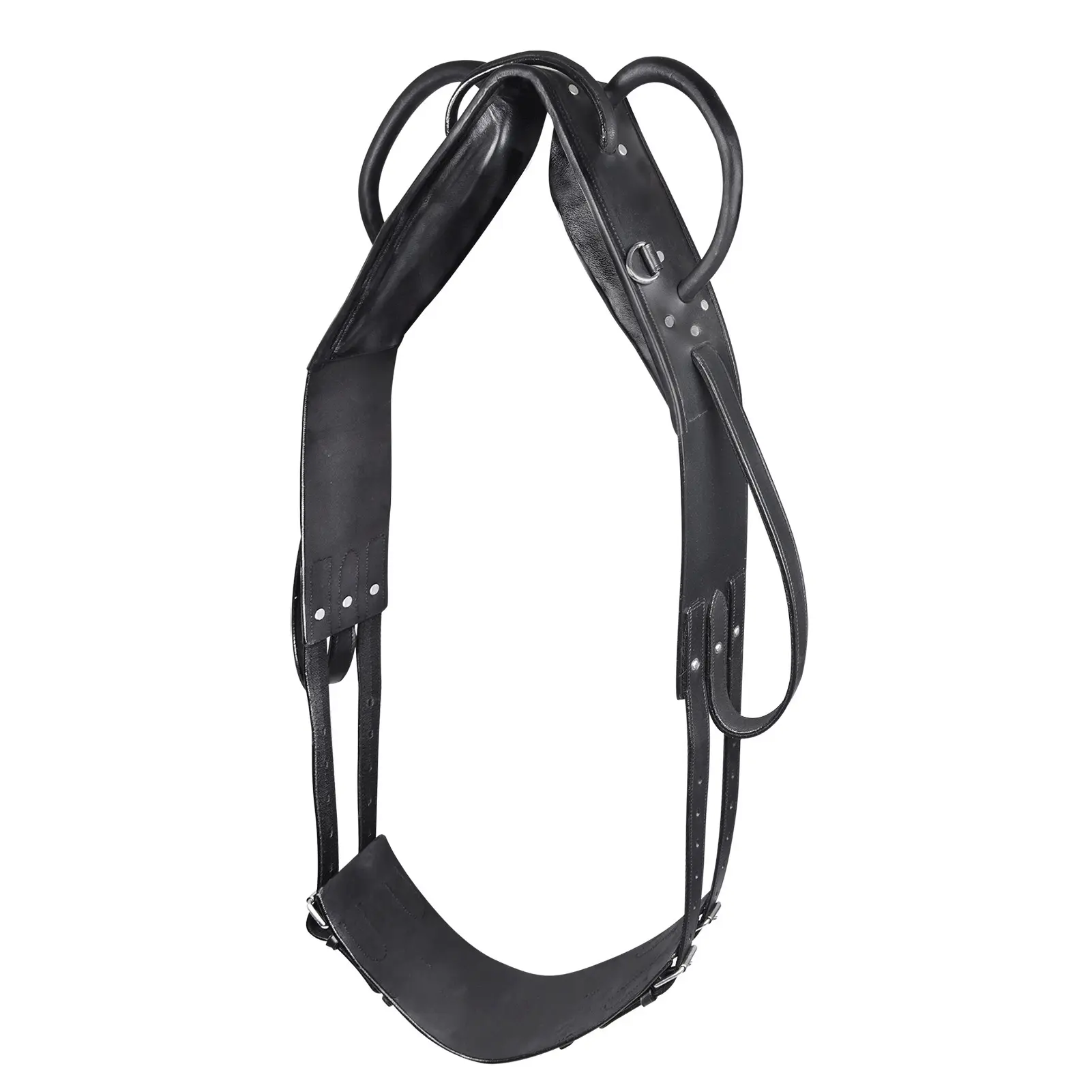 Lungeing and vaulting girth for horses Star