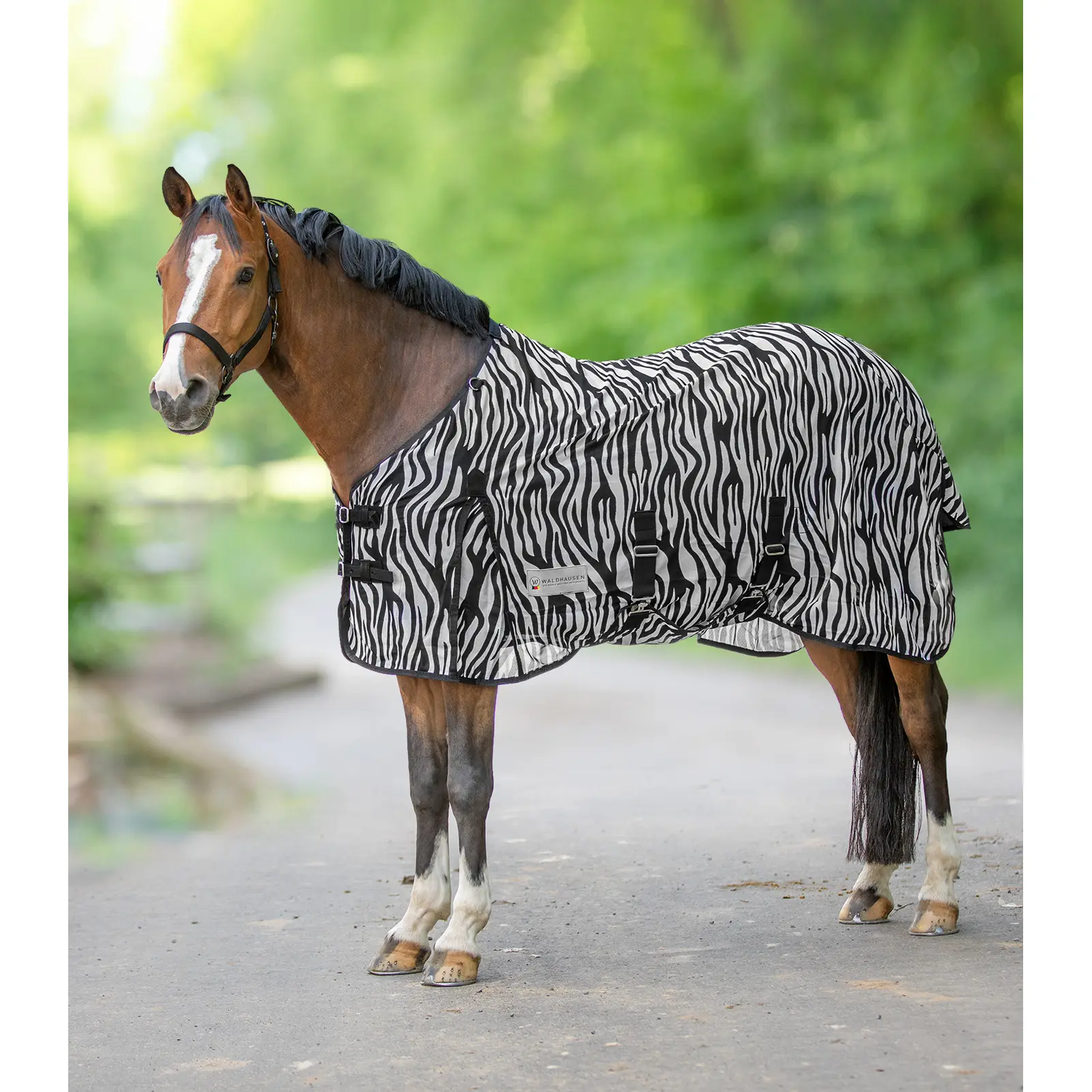 Copertura anti-zanzare per cavallo Waldhausen Zebra