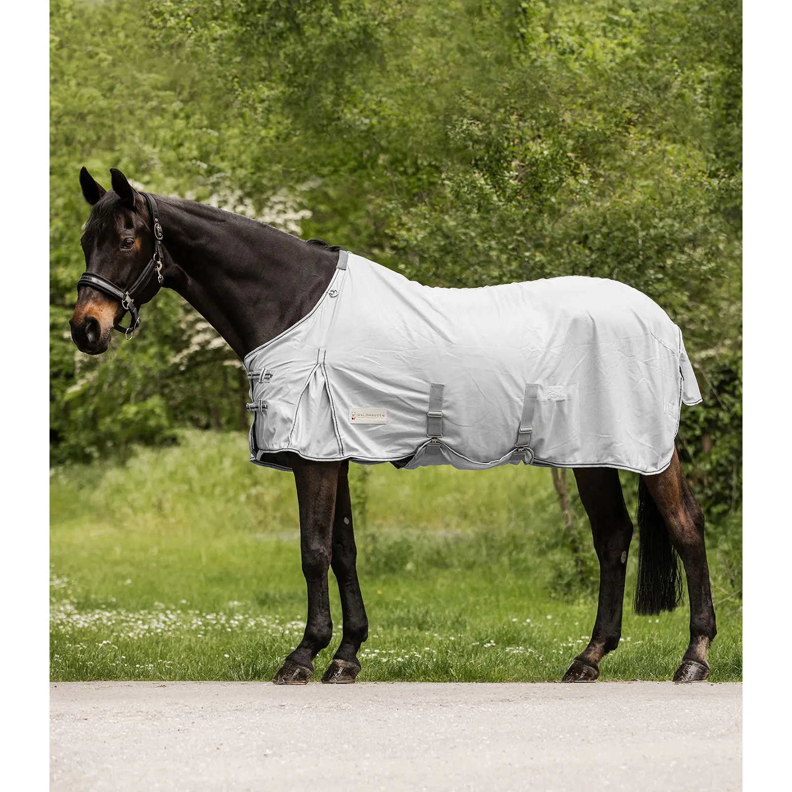 Fly Blanket Waldhausen Protect