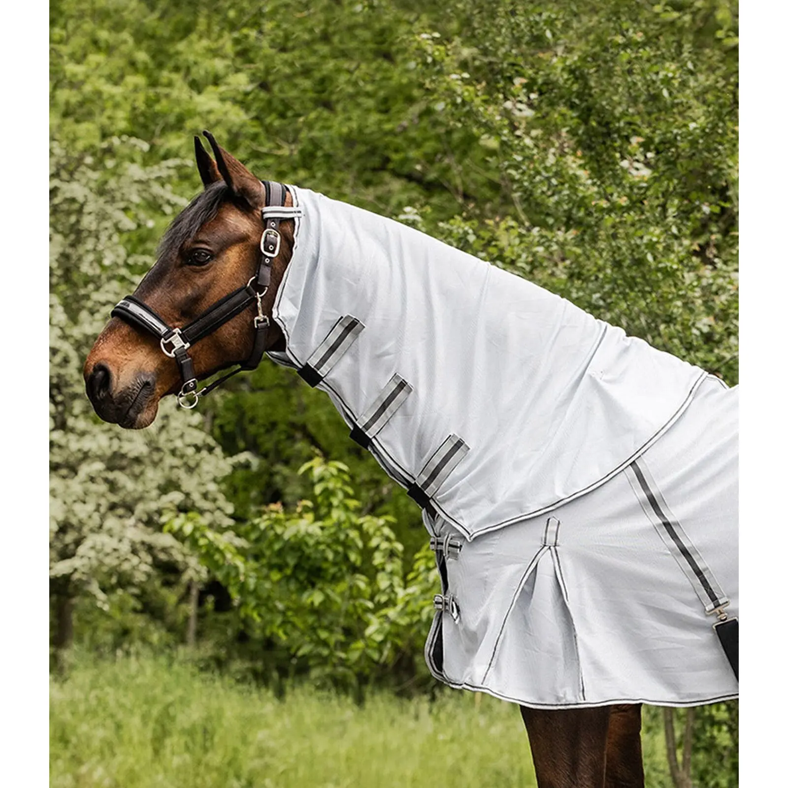 Fly repellent horse neck cover Waldhausen Protect