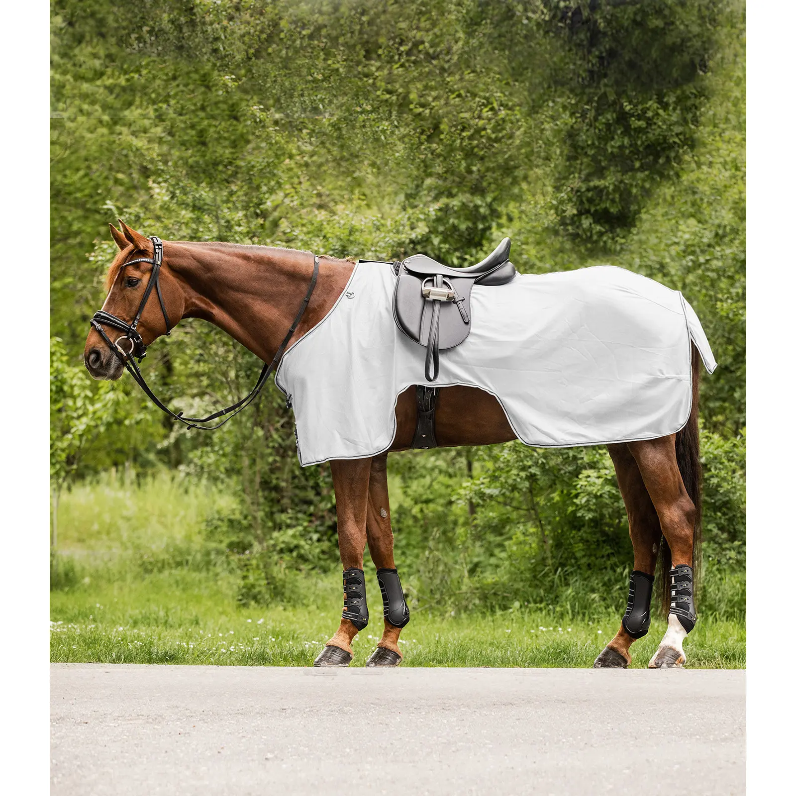 Anti-Fly Sheet Waldhausen Protect