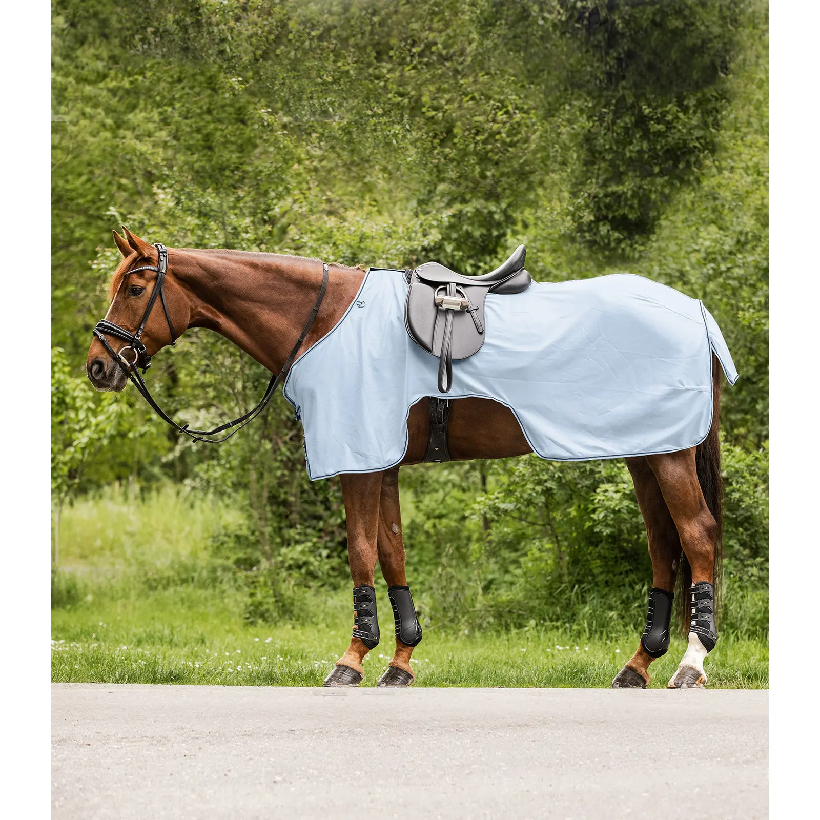 Anti-Fly Sheet Waldhausen Protect