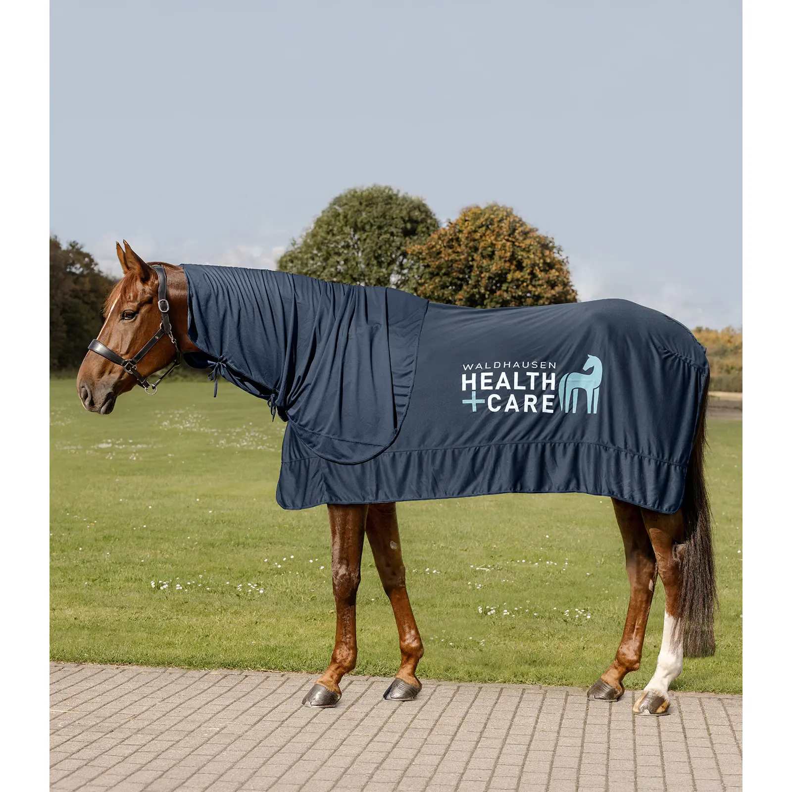 Coperta per cavalli Waldhausen Health + Care Ice Layer