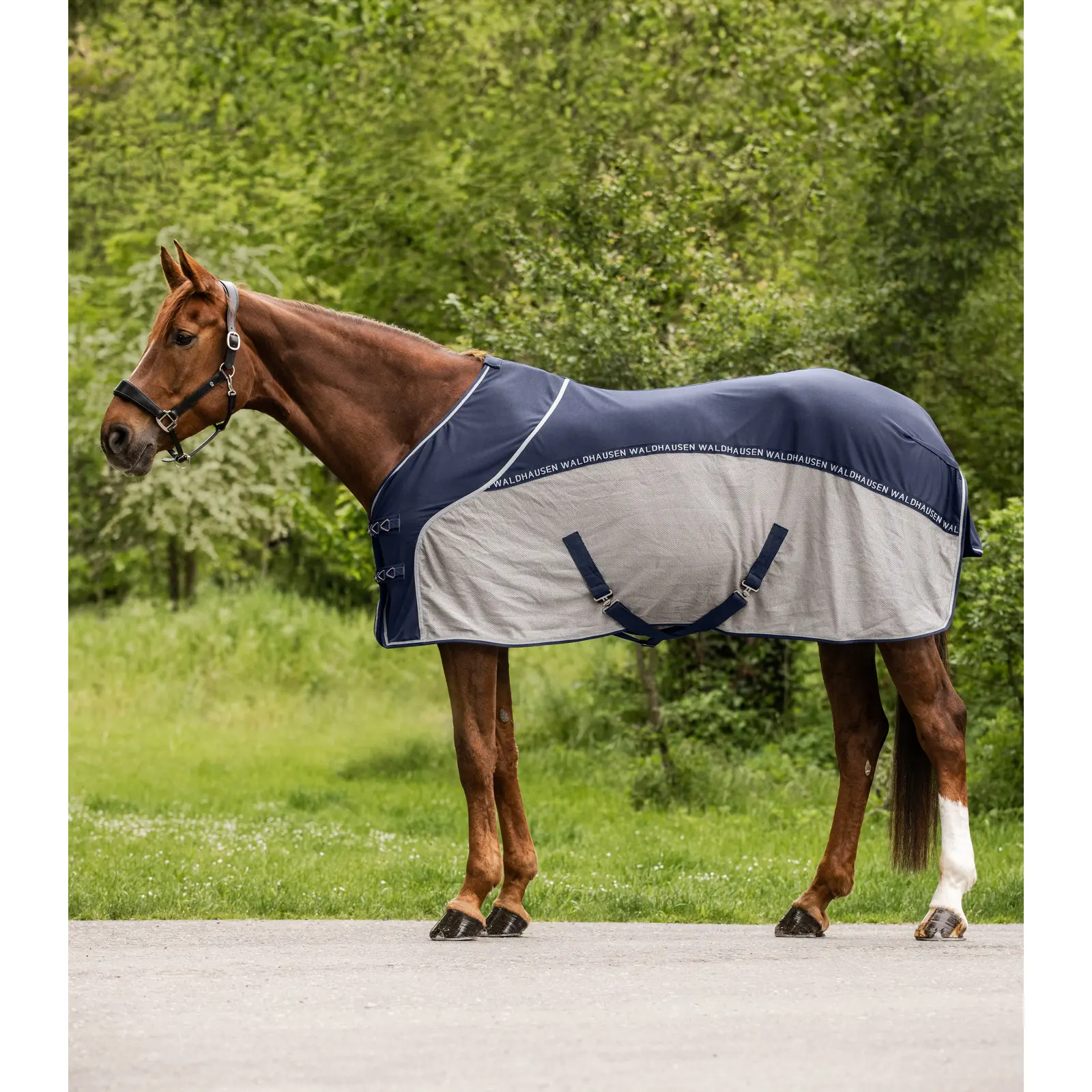 Coperta antimosche per cavallo estiva Waldhausen Cooler