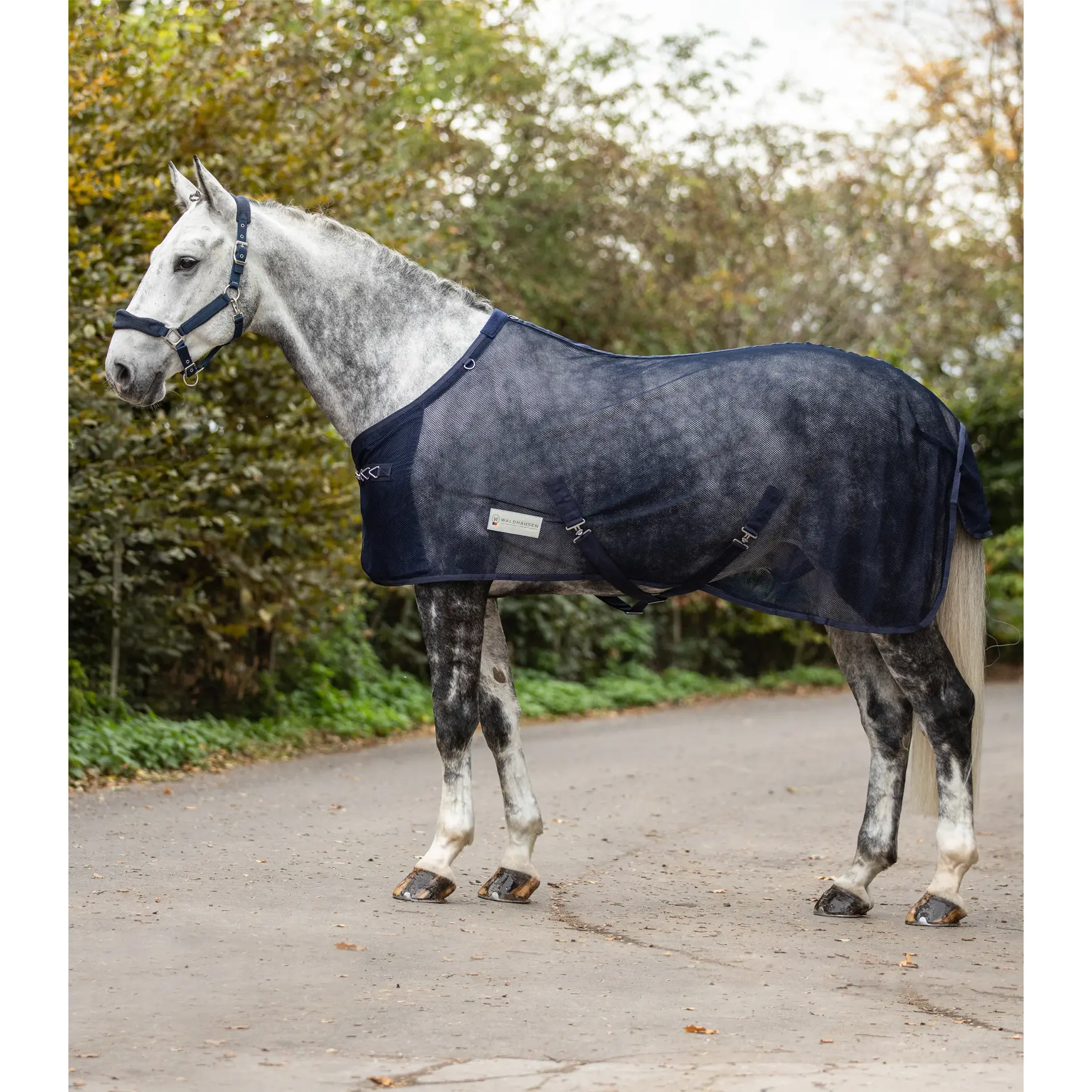 Fly sheet for horses with crossover straps Waldhausen Comfort