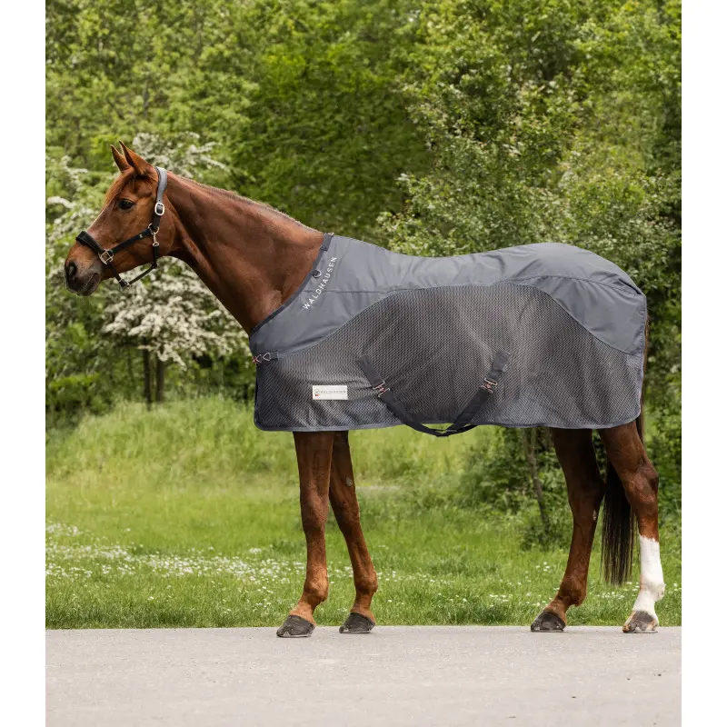 Coperta anti-insetti per cavallo per la pioggia Waldhausen Comfort