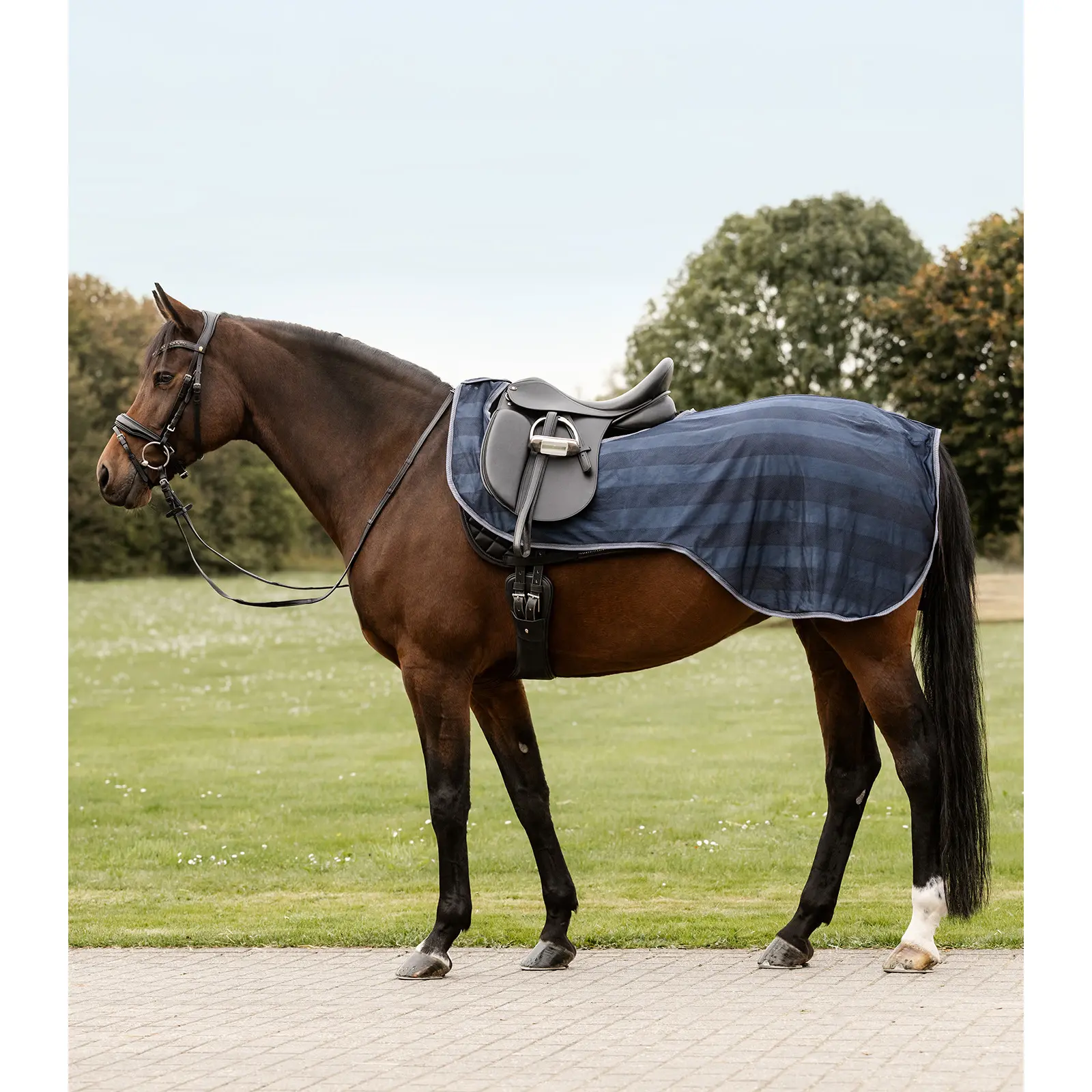 Fly sheet for horses Waldhausen Economic