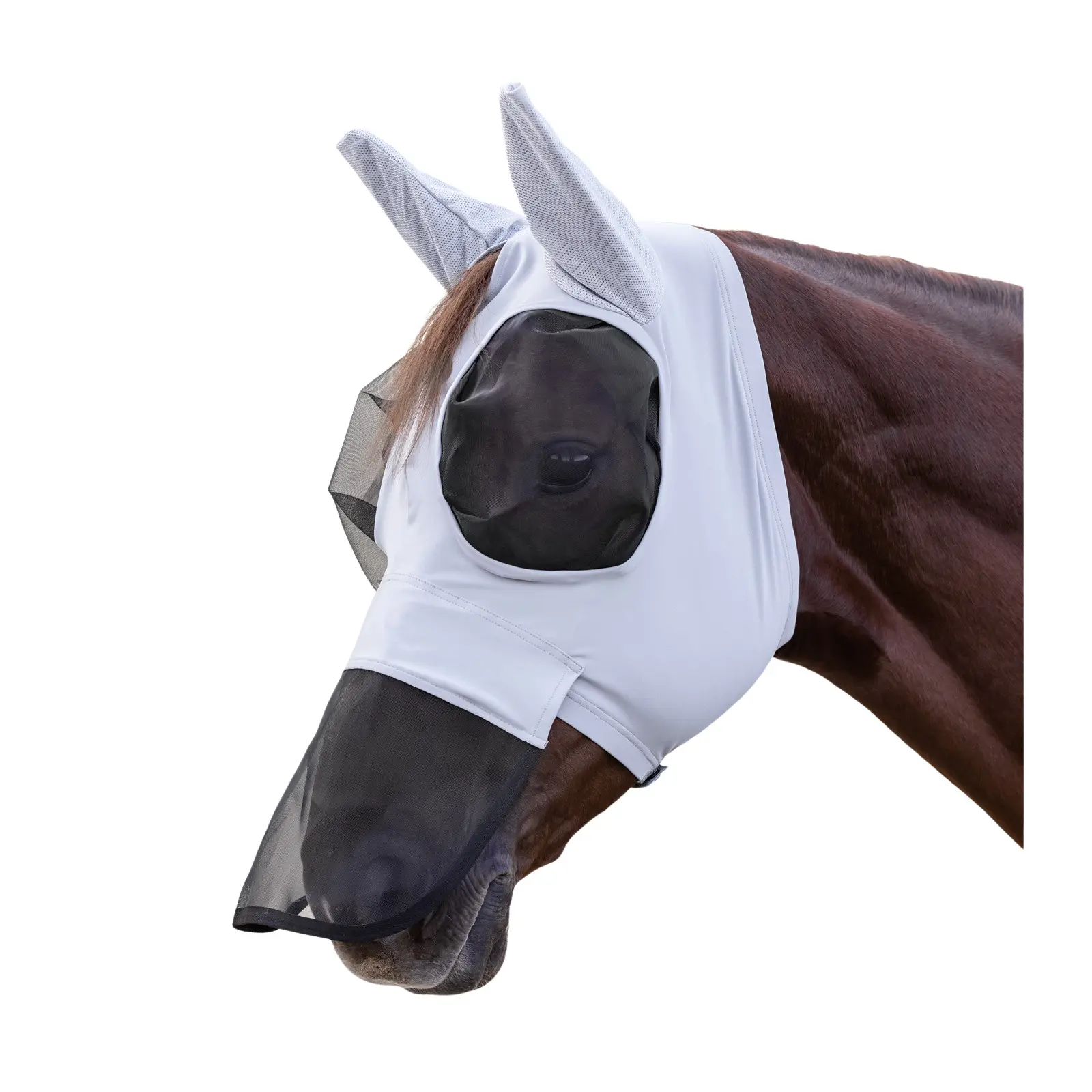Maschera anti-insetti per cavallo con protezione nasale Waldhausen Puck