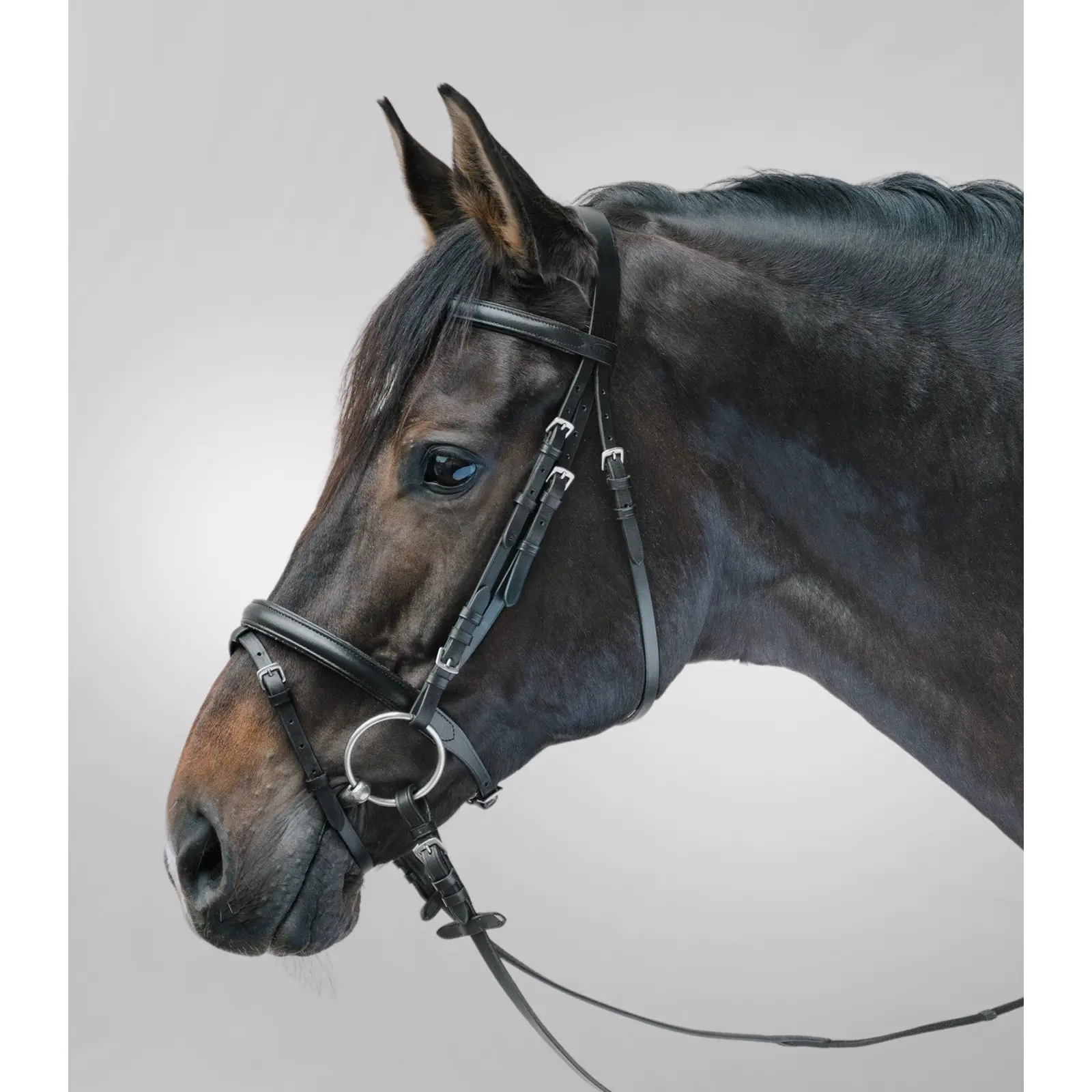 Bridone da equitazione con museruola combinata Star Lifestyle