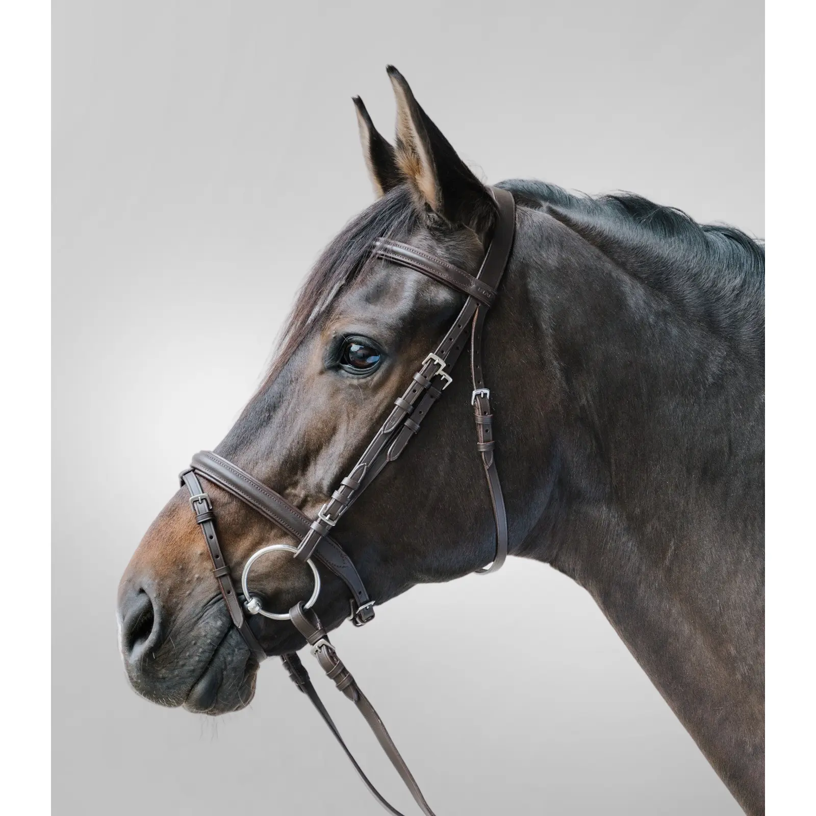 Combined noseband bridle Star Lifestyle