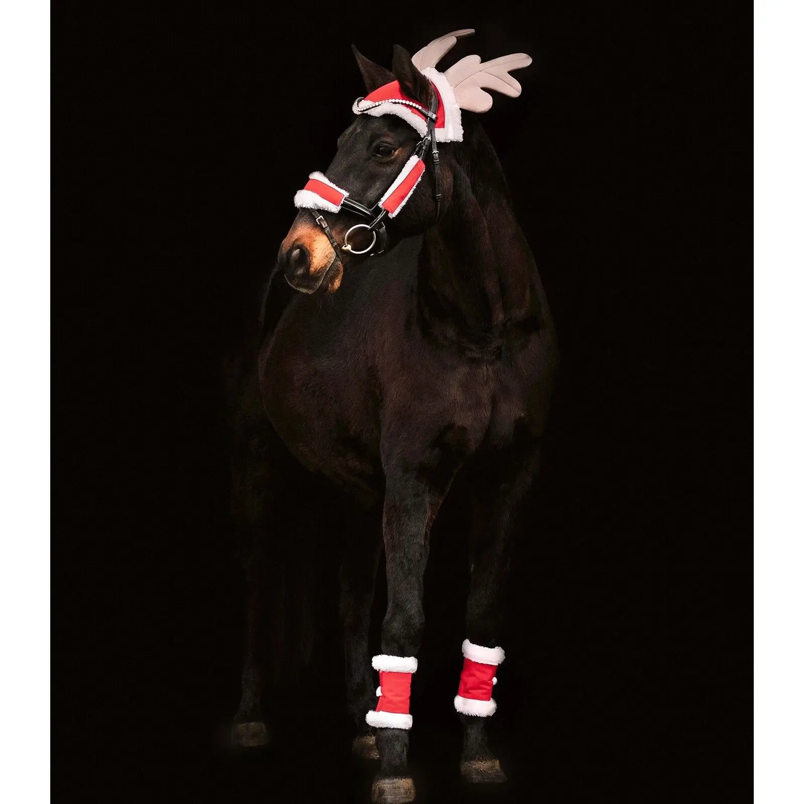 Decorazione di Natale per cavallo Waldhausen