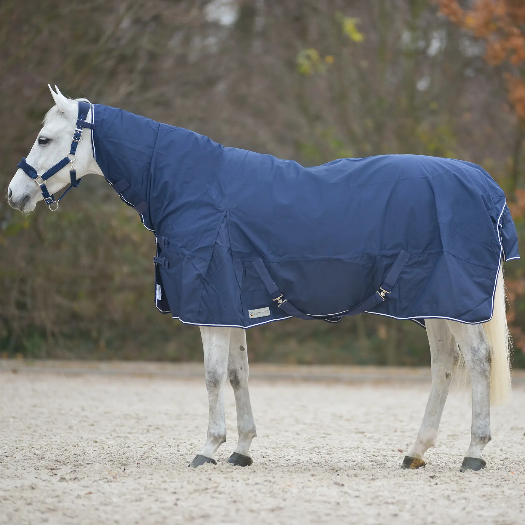 Coperta da paddock per cavalli con copricollo Waldhausen Comfort