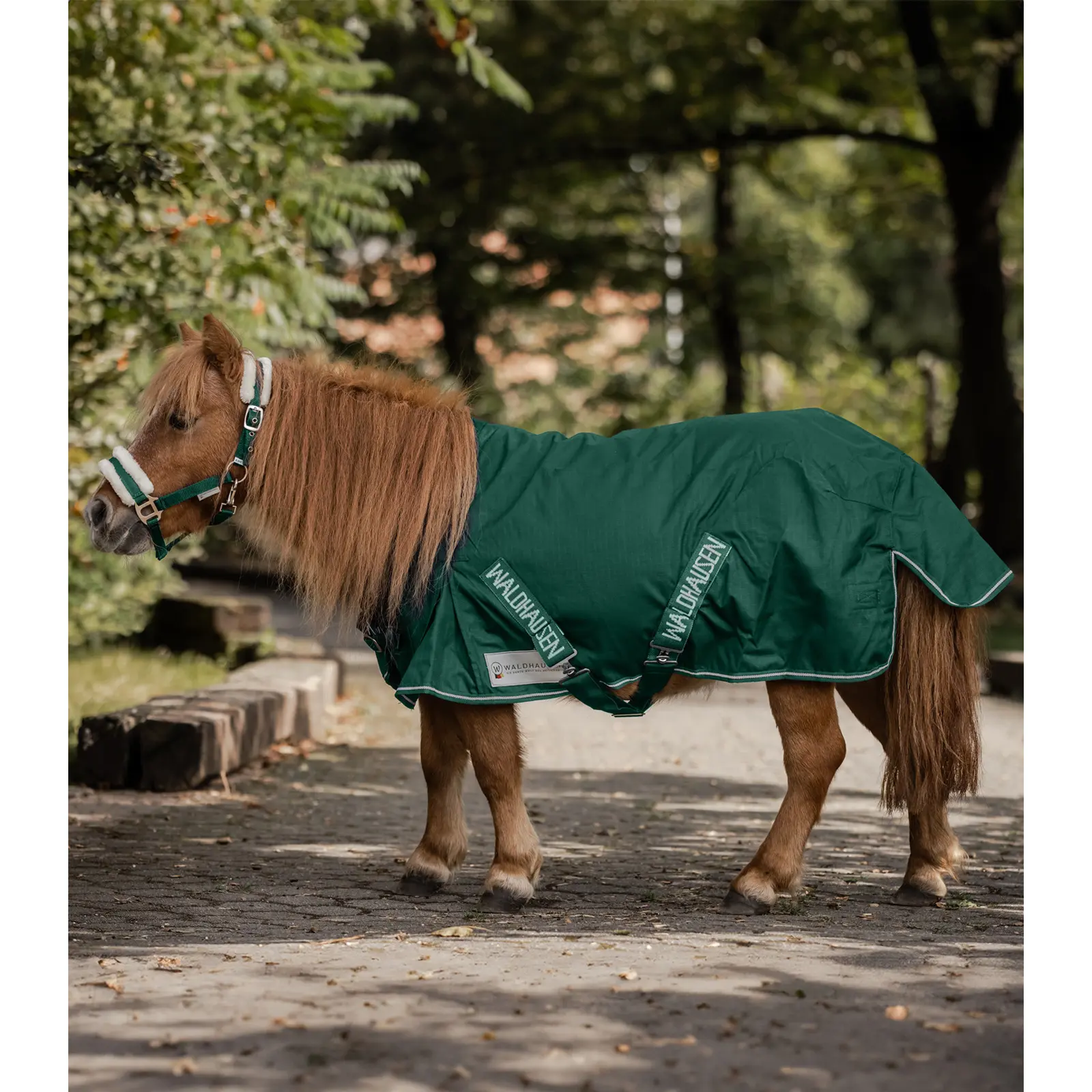 Coperta da paddock per cavalli Waldhausen Shetty Light