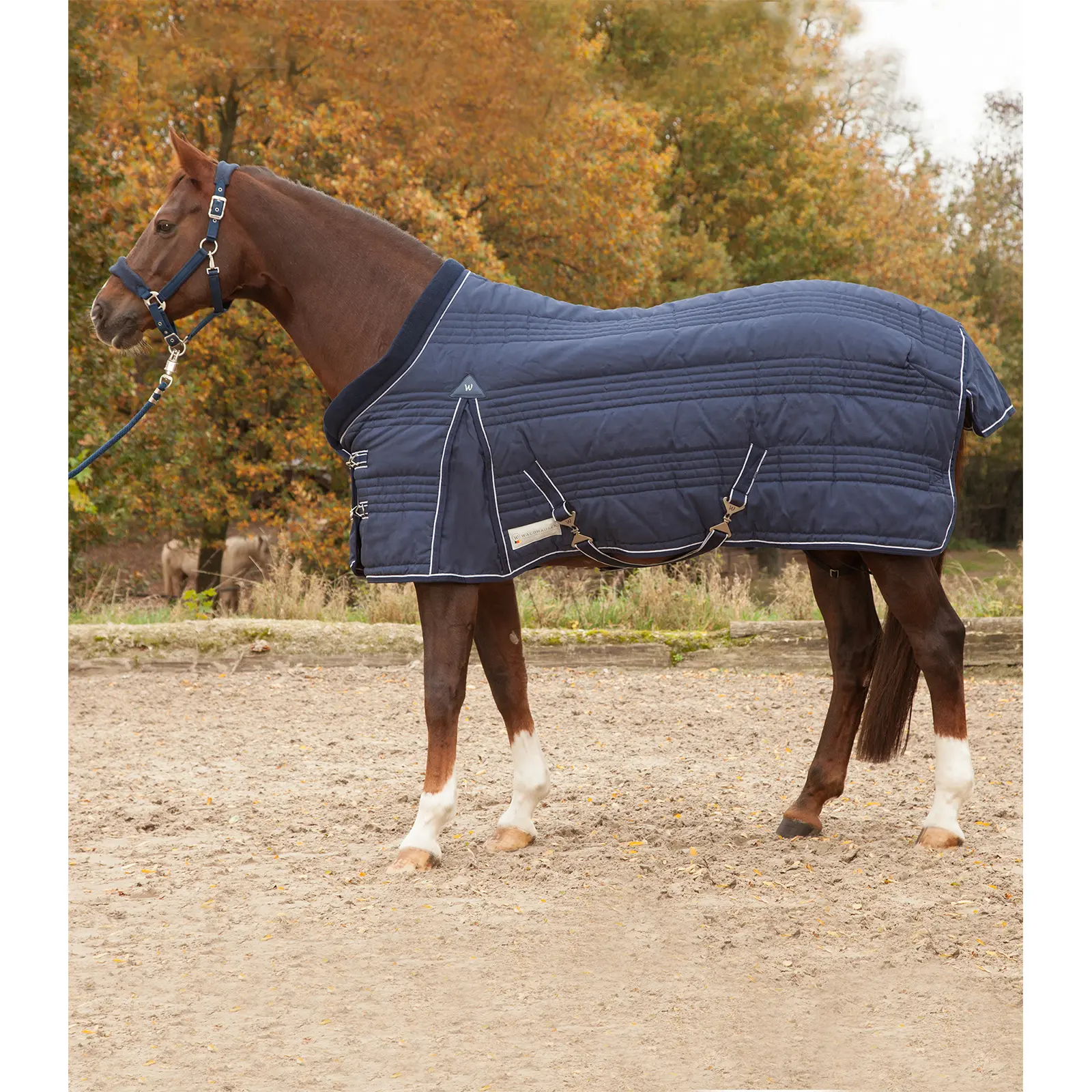 Coperta da box per cavalli Waldhausen Comfort 100 g