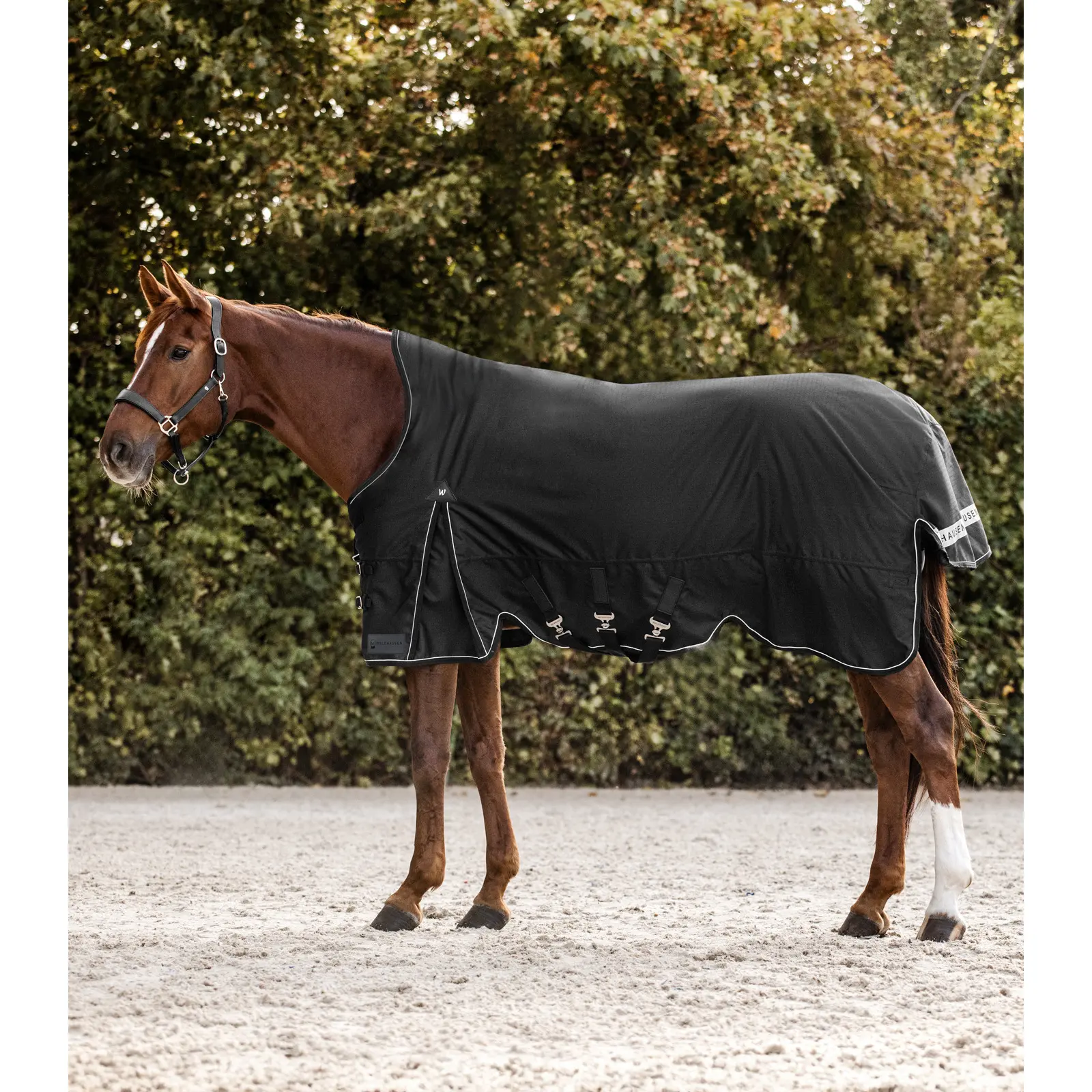 Coperta da esterno per cavallo col alto Waldhausen Scandic 0g