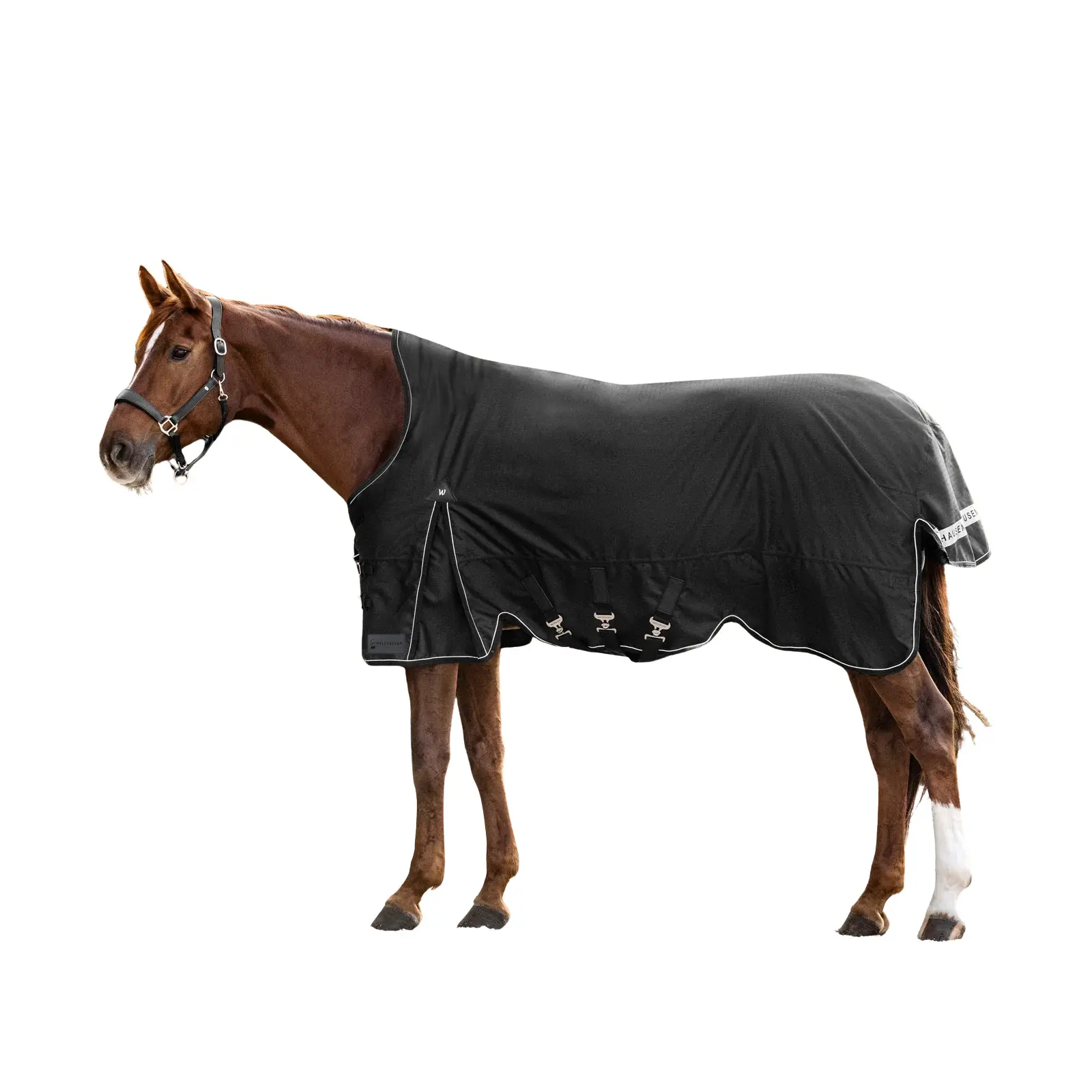 Coperta da esterno per cavallo collo alto Waldhausen Scandic 200g