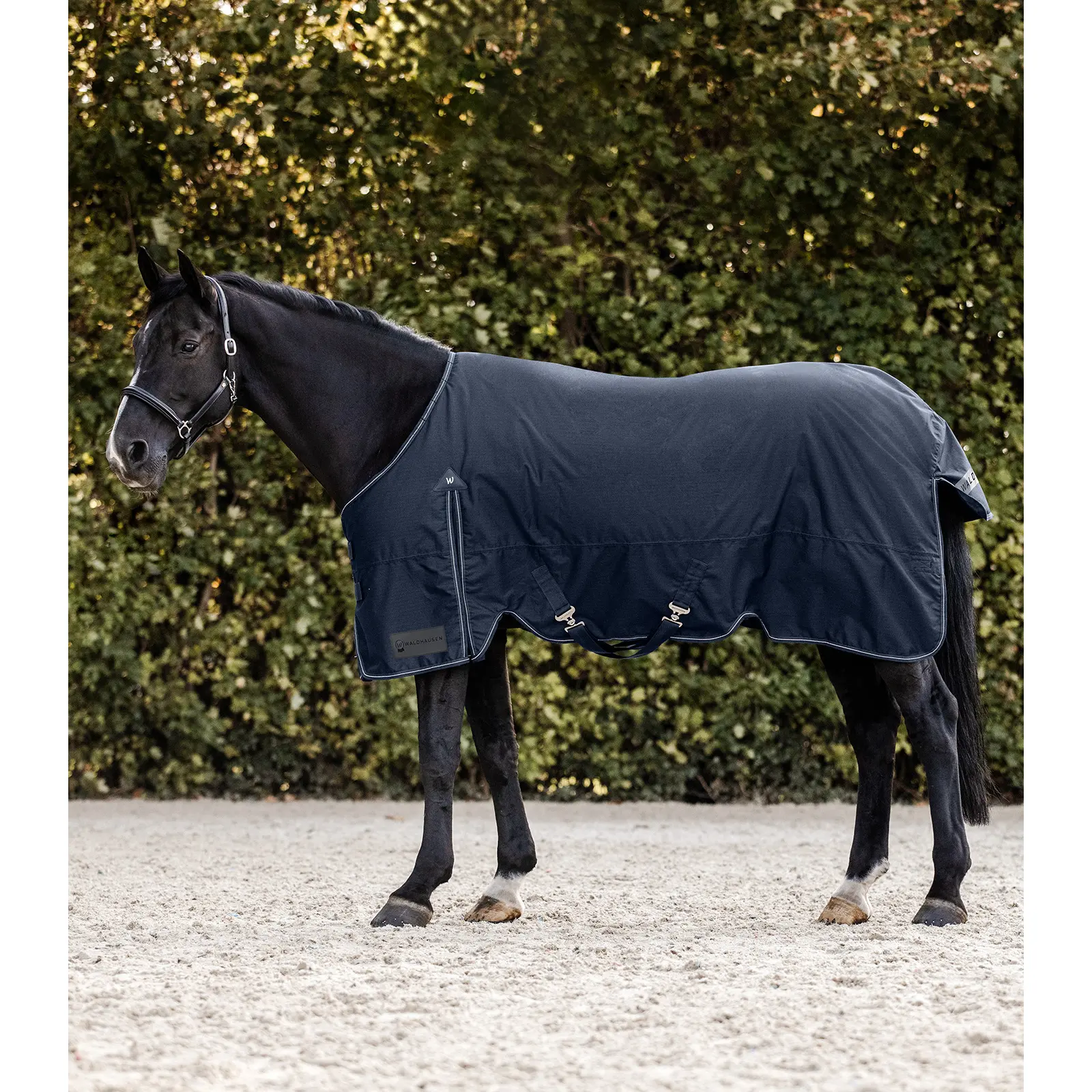 Coperta da paddock per cavalli Waldhausen Arctic 50g