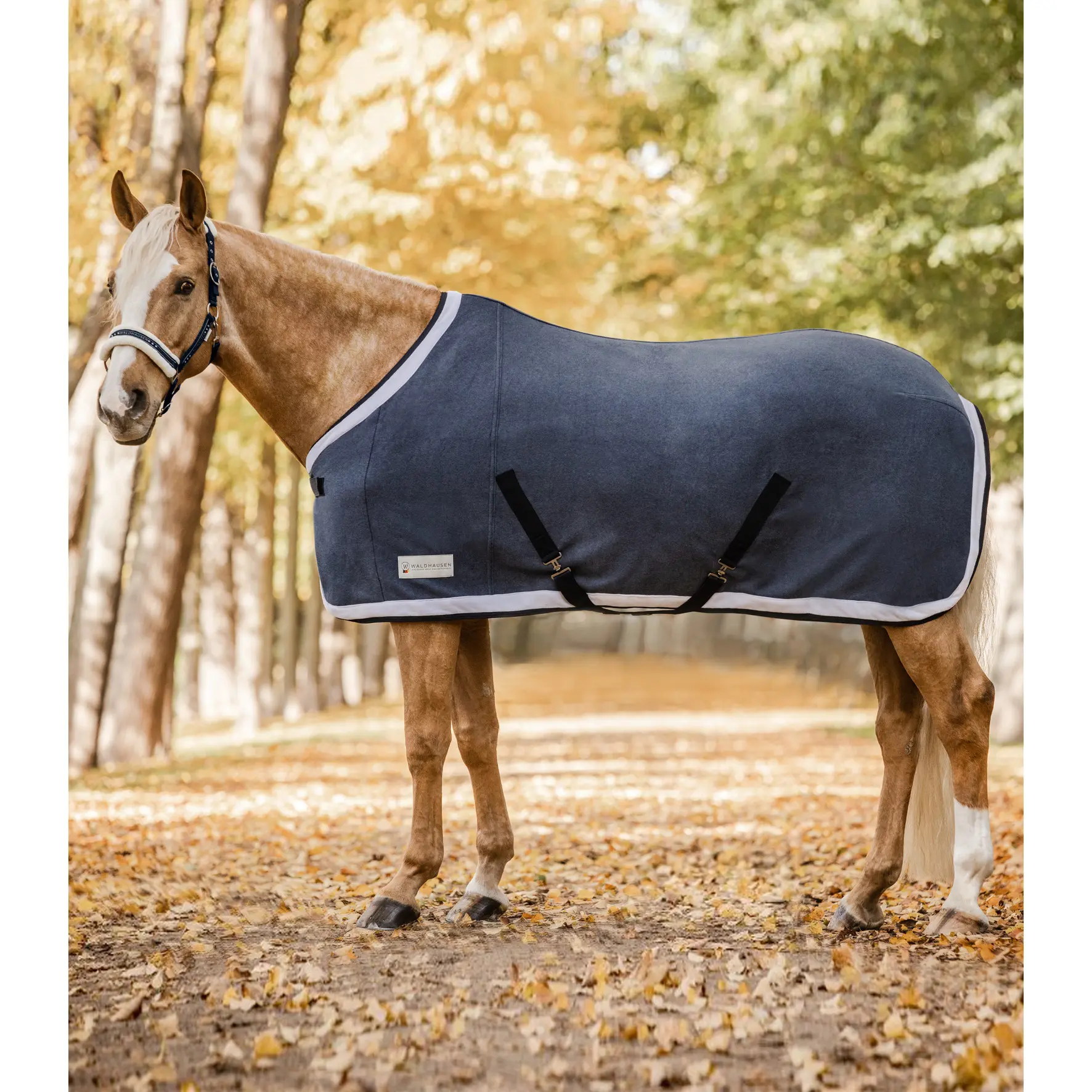 Fleece Blanket Waldhausen Comfort Esperia Two