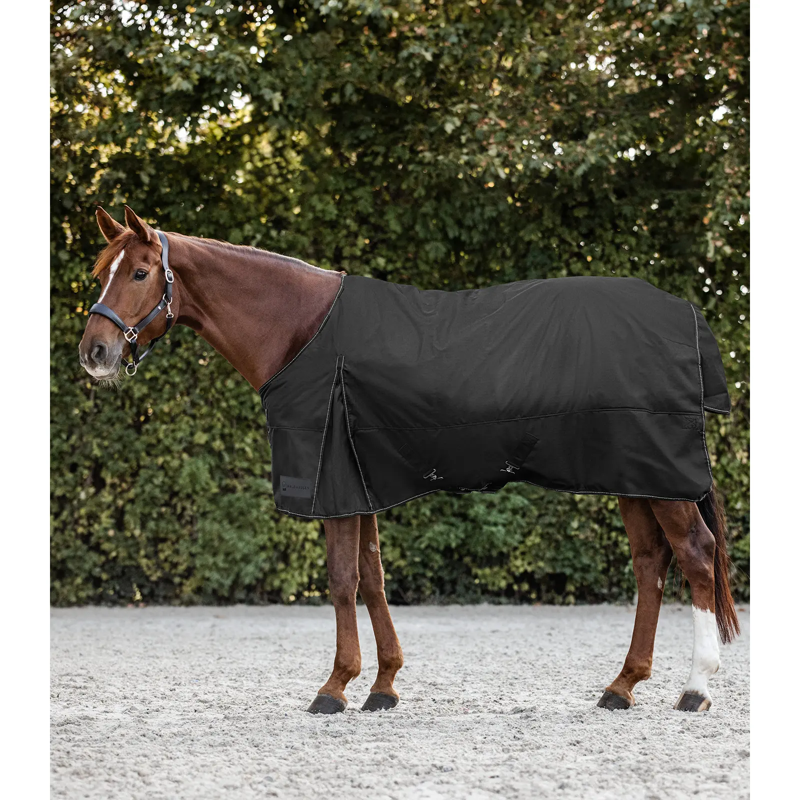 Coperta da paddock per cavalli Waldhausen Nordic 100g