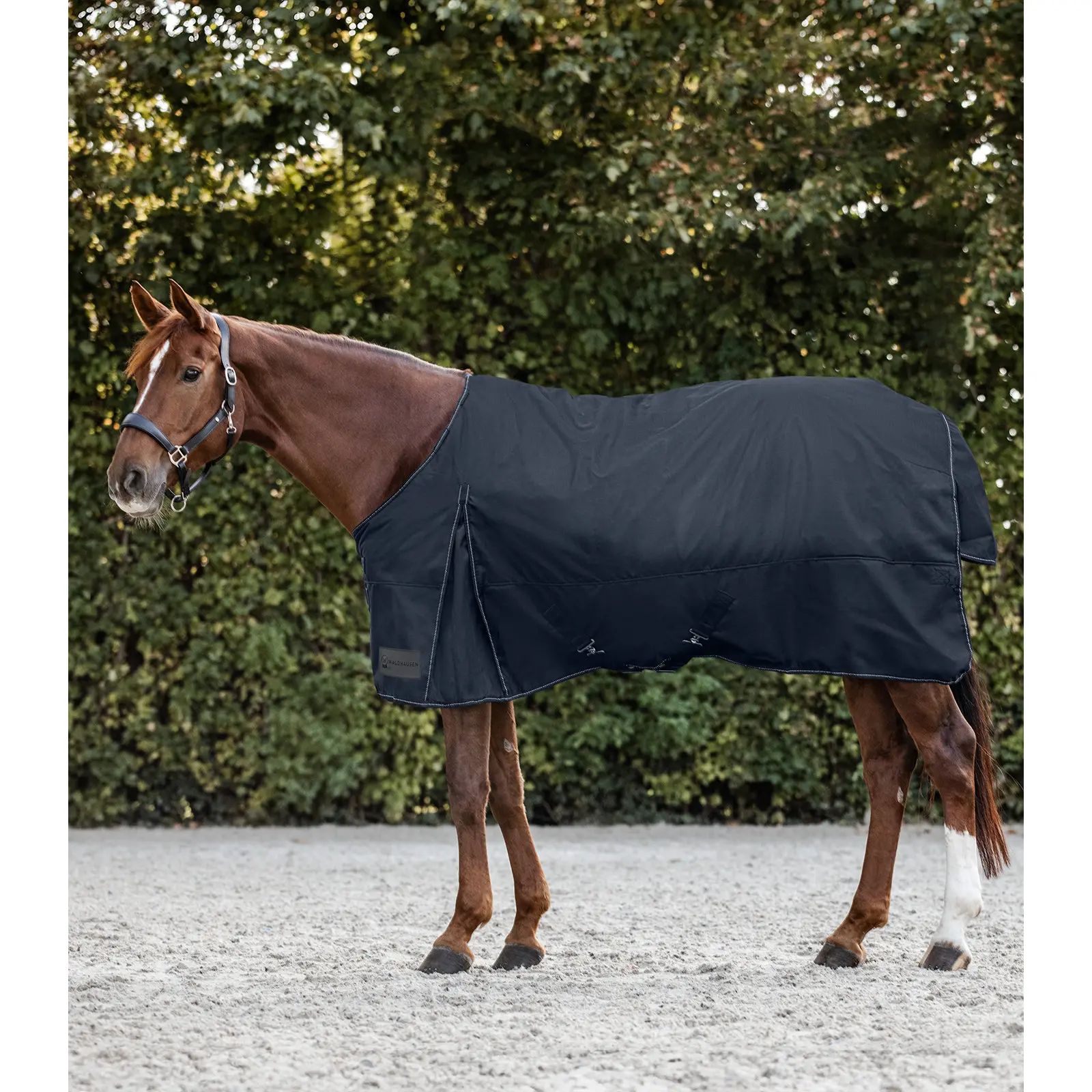 Coperta da paddock per cavalli Waldhausen Nordic 100g