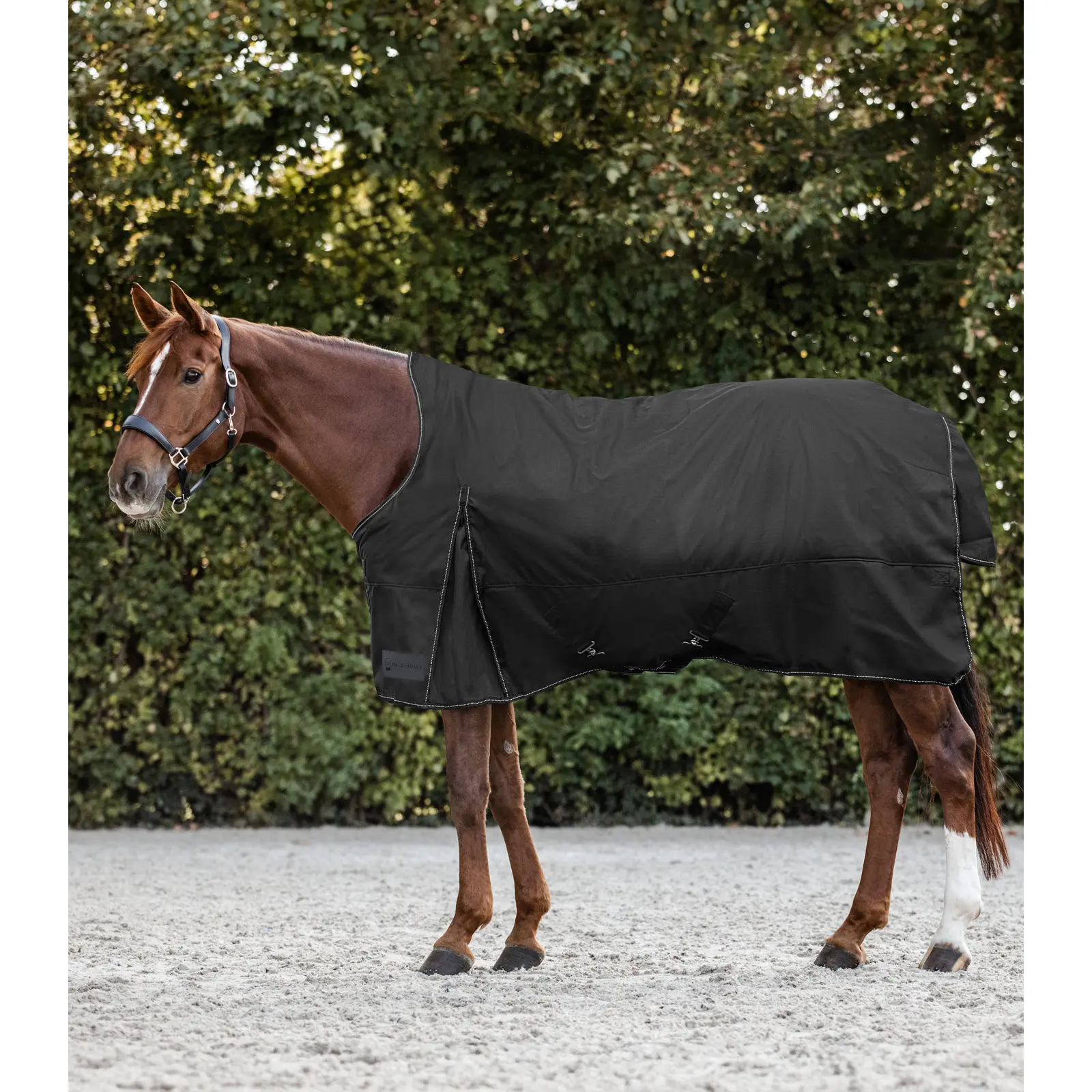 Outdoor horse blanket with neck cover Waldhausen Nordic