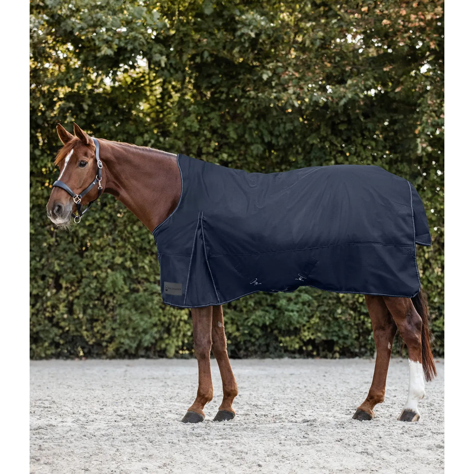 Outdoor horse blanket with neck cover Waldhausen Nordic