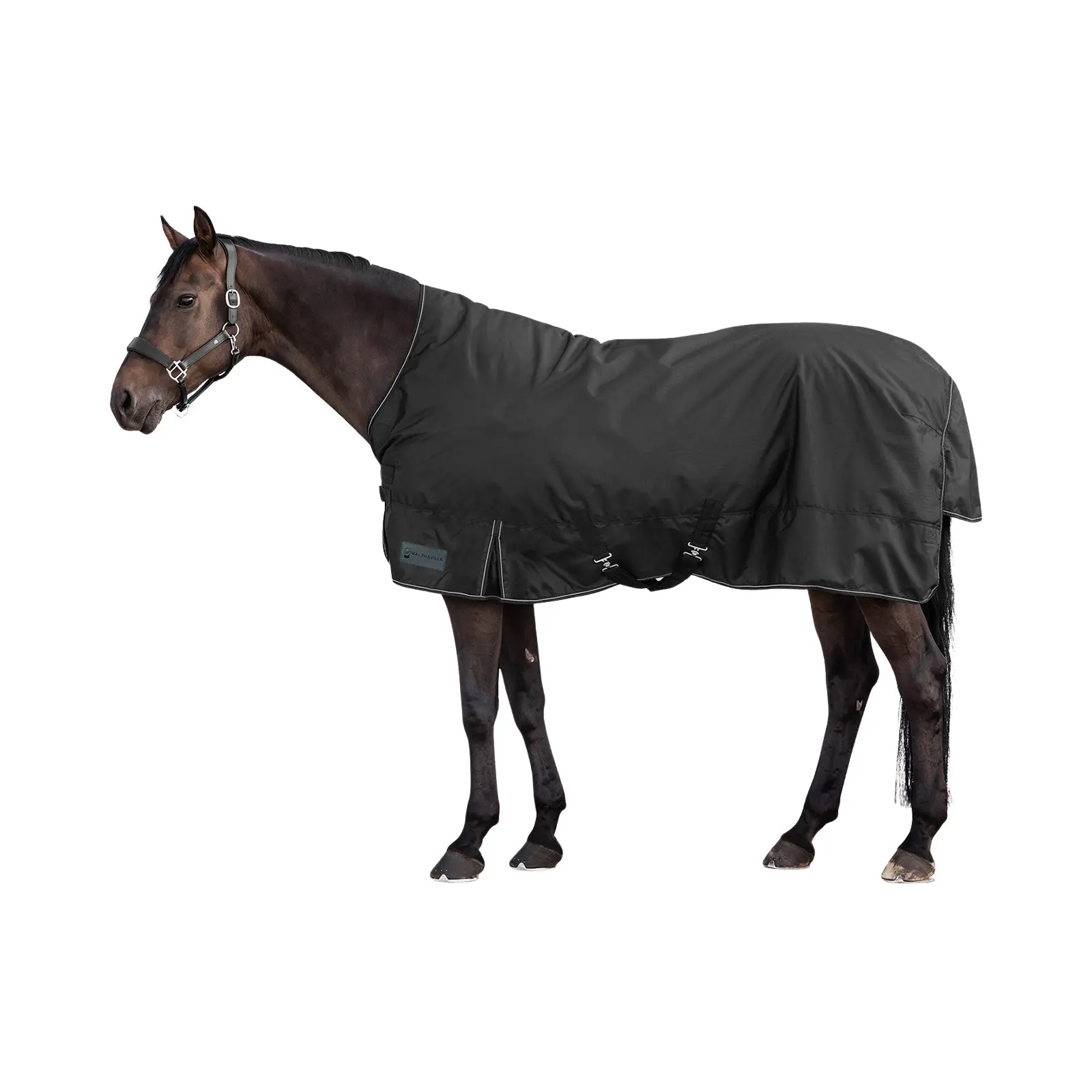 Coperta per cavallo impermeabile da esterno con collo alto Waldhausen Nordic 200g