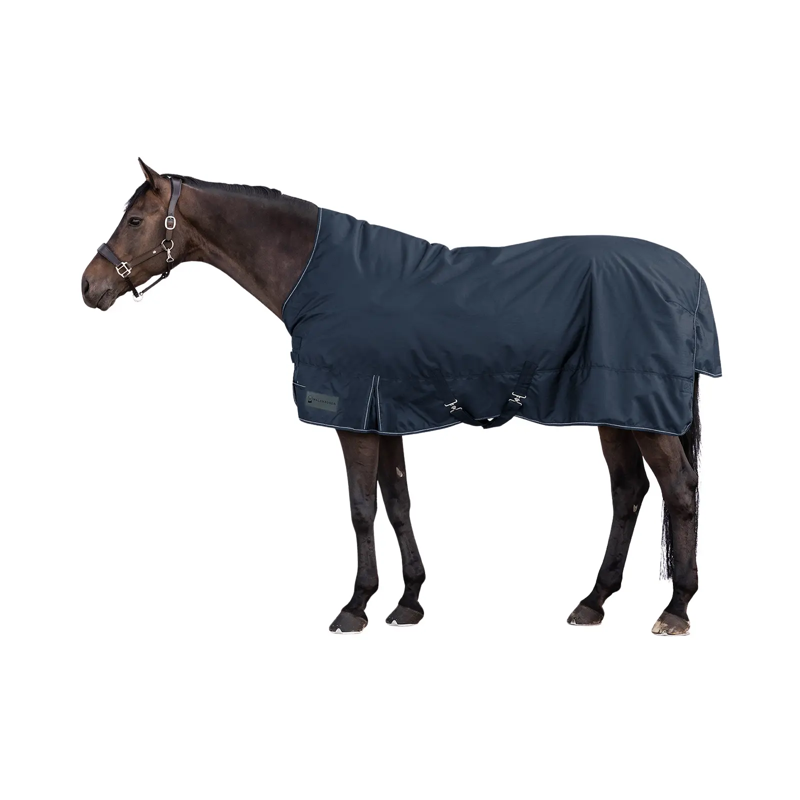 Coperta per cavallo impermeabile da esterno con collo alto Waldhausen Nordic 100g
