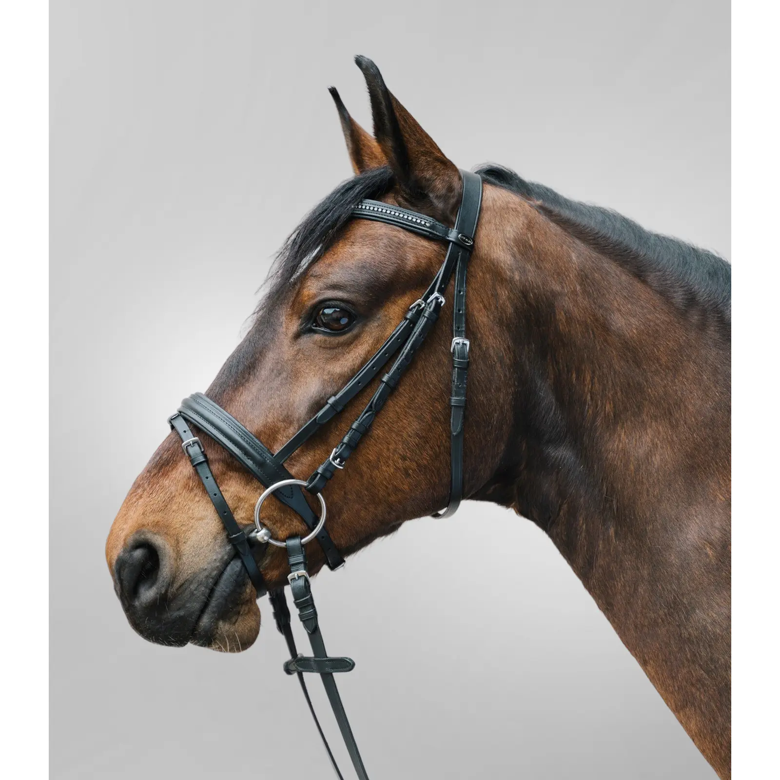 Bridone da equitazione con museruola combinata Star Diamond