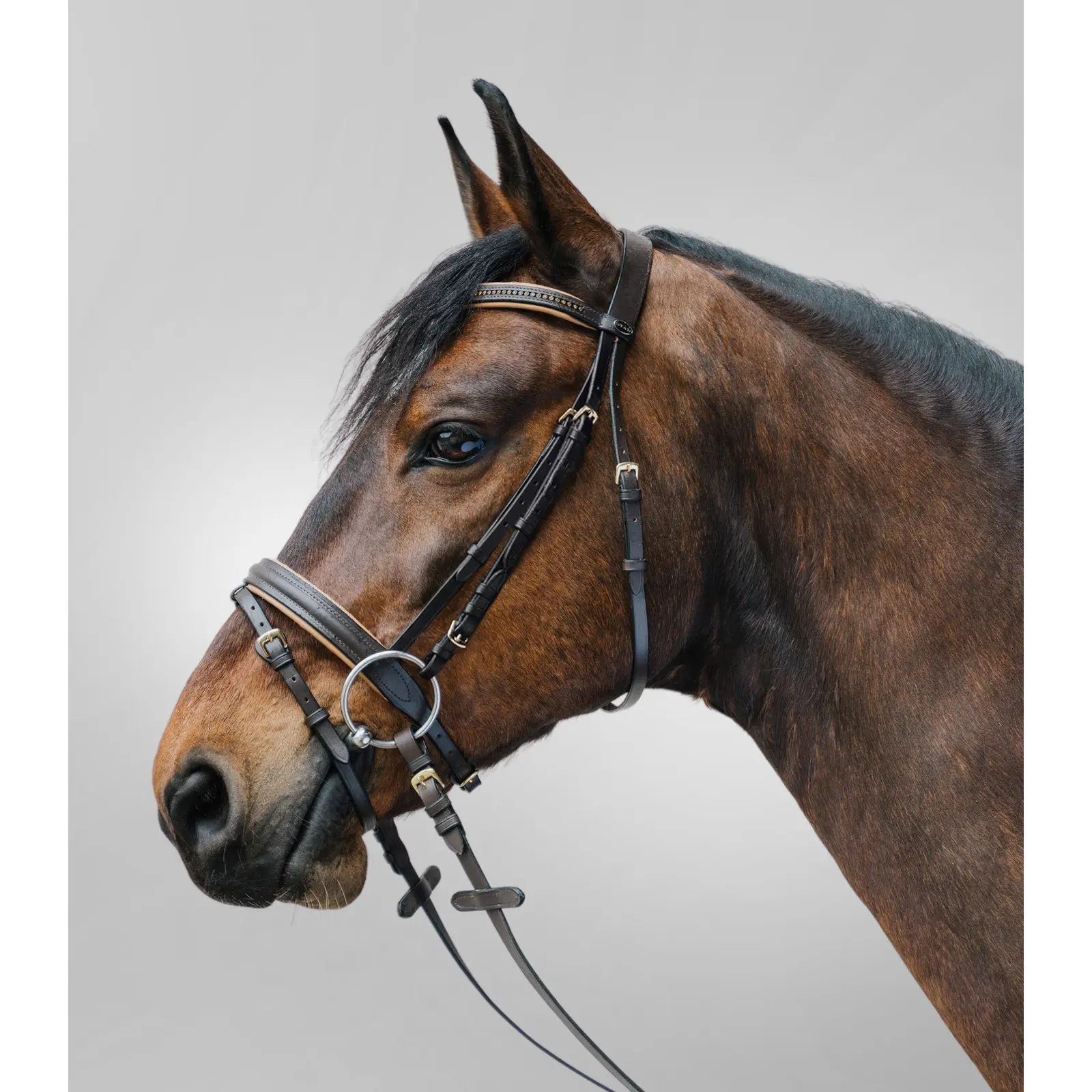 Bridone da equitazione con museruola combinata Star Diamond