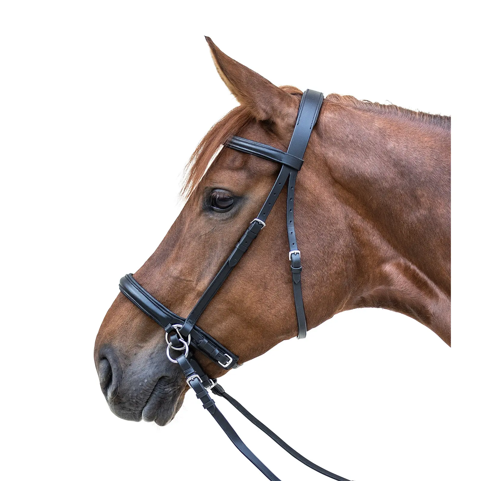 Combined bridle with noseband, without bit Star