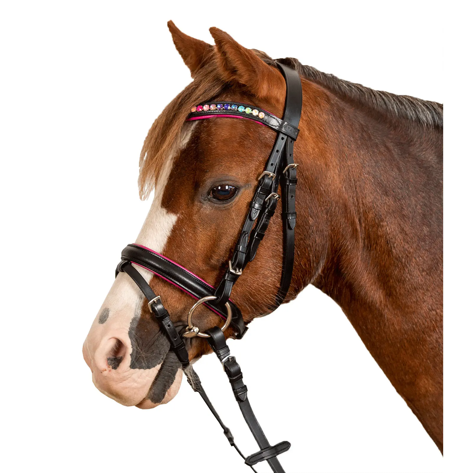 Combined noseband bridle Star Pinky